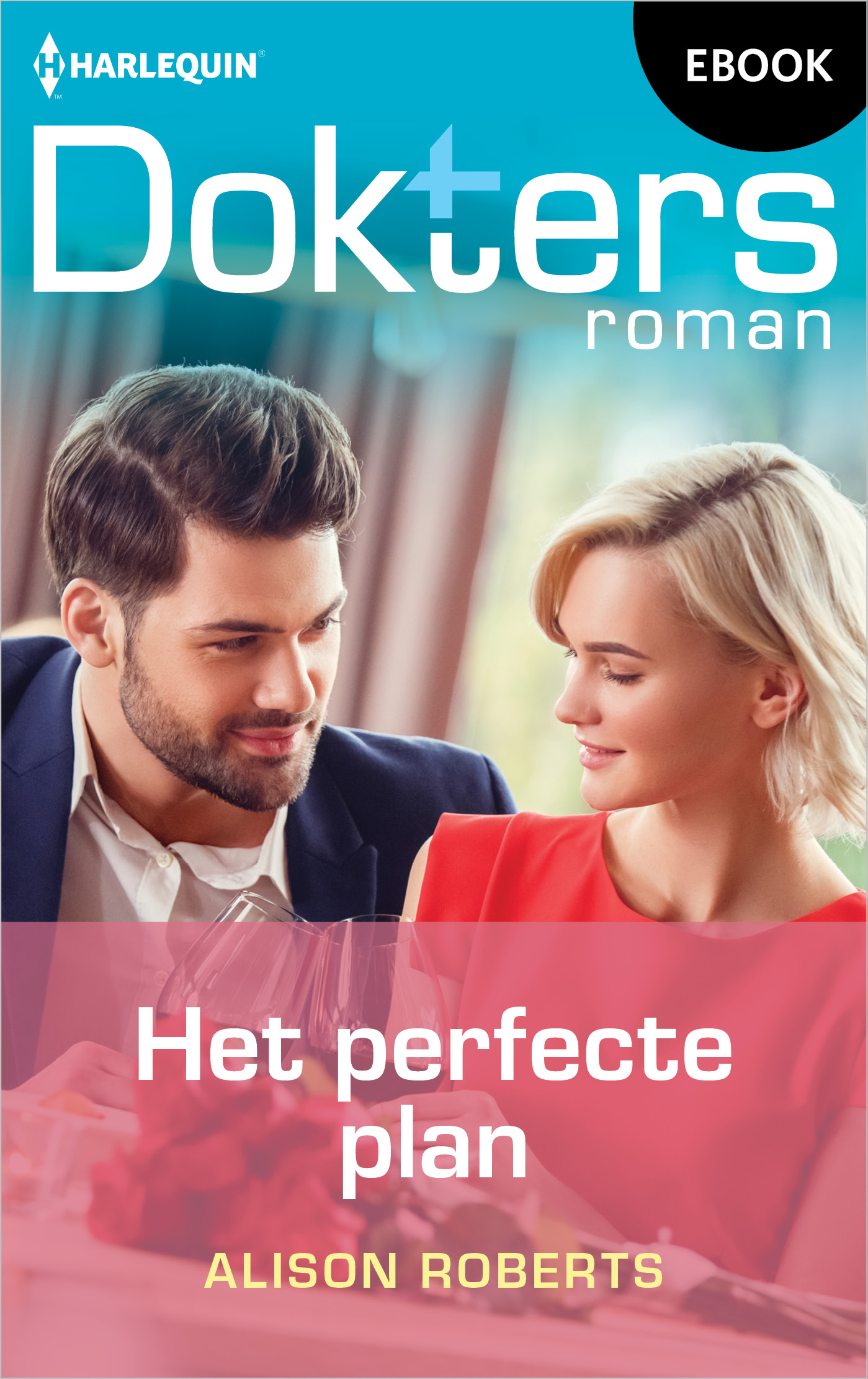 Omslag van Het perfecte plan