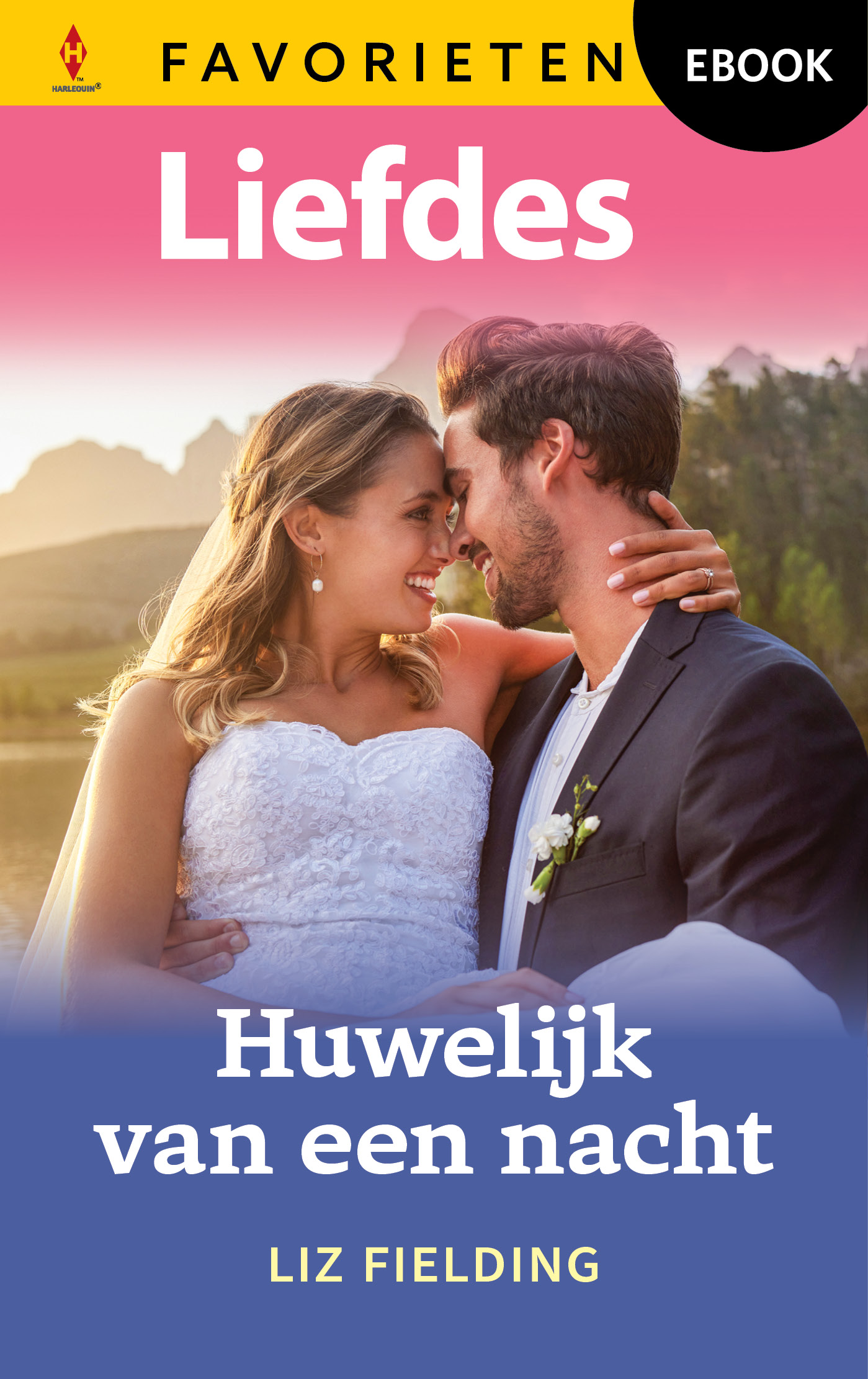 Omslag van Huwelijk van een nacht