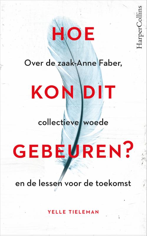 Omslag van Hoe kon dit gebeuren?