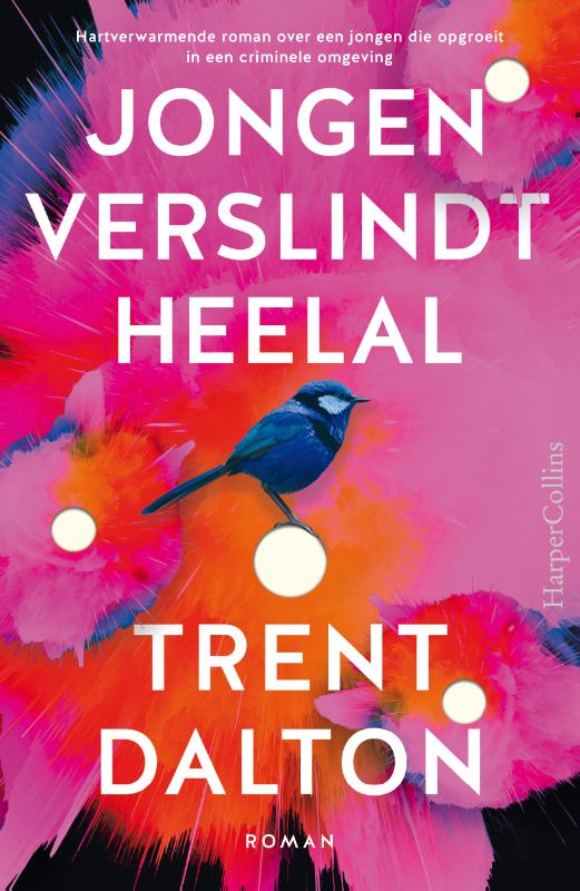 Omslag van Jongen verslindt heelal - backcard à 6 ex.