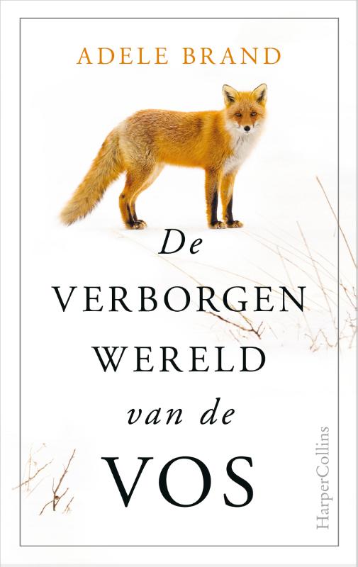Omslag van De verborgen wereld van de vos