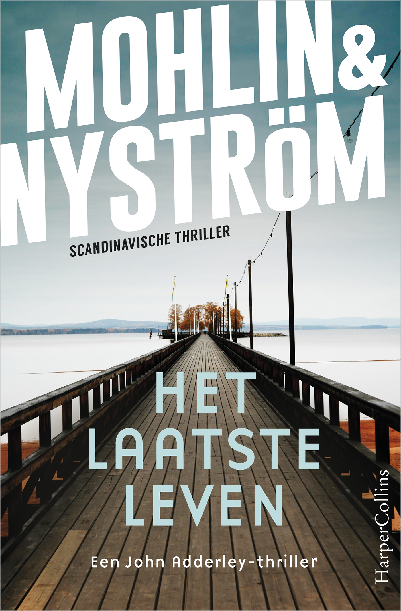 Omslag van Het laatste leven
