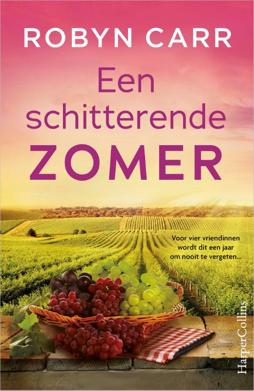 Omslag van Een schitterende zomer