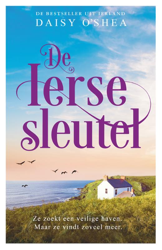 Omslag van De Ierse sleutel - backcard à 6 exemplaren