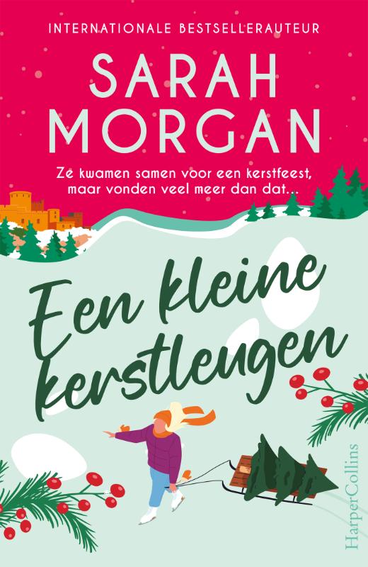 Omslag van Een kleine kerstleugen