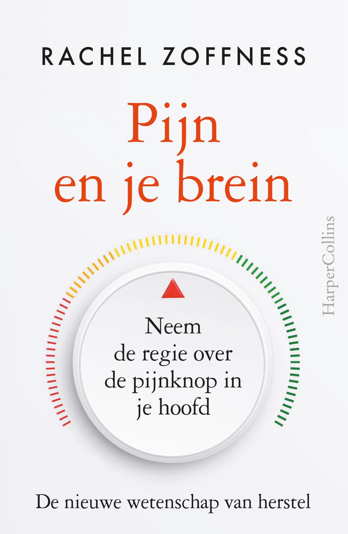 Omslag van De pijnpuzzel