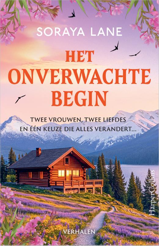 Omslag van Het onverwachte begin