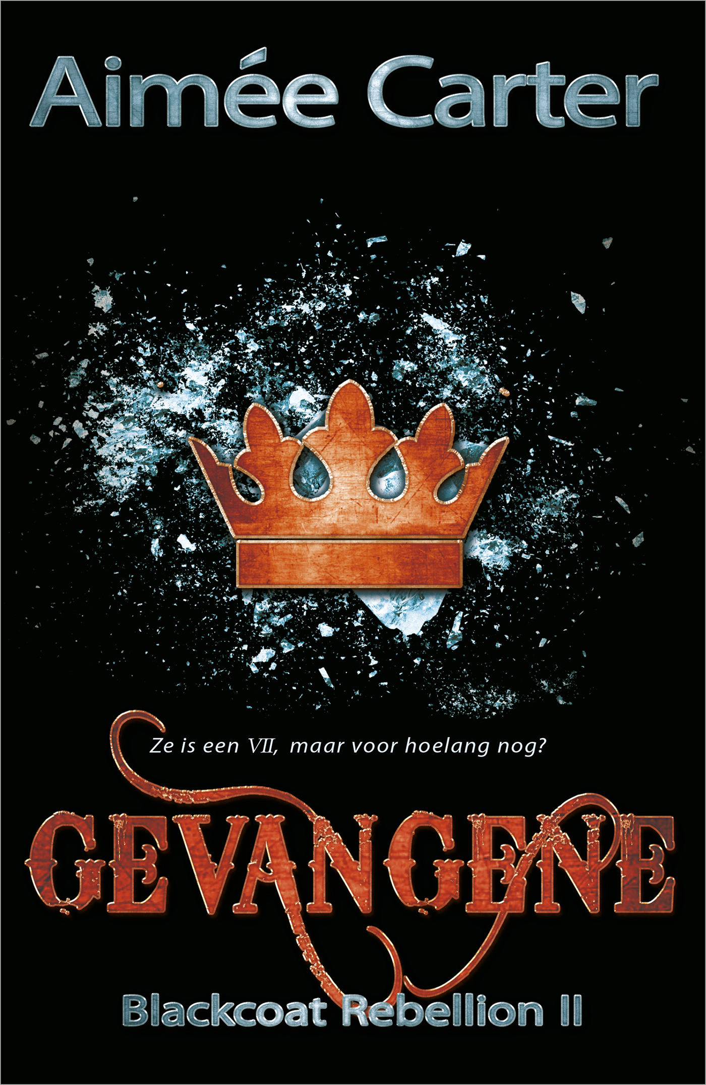Omslag van Gevangene