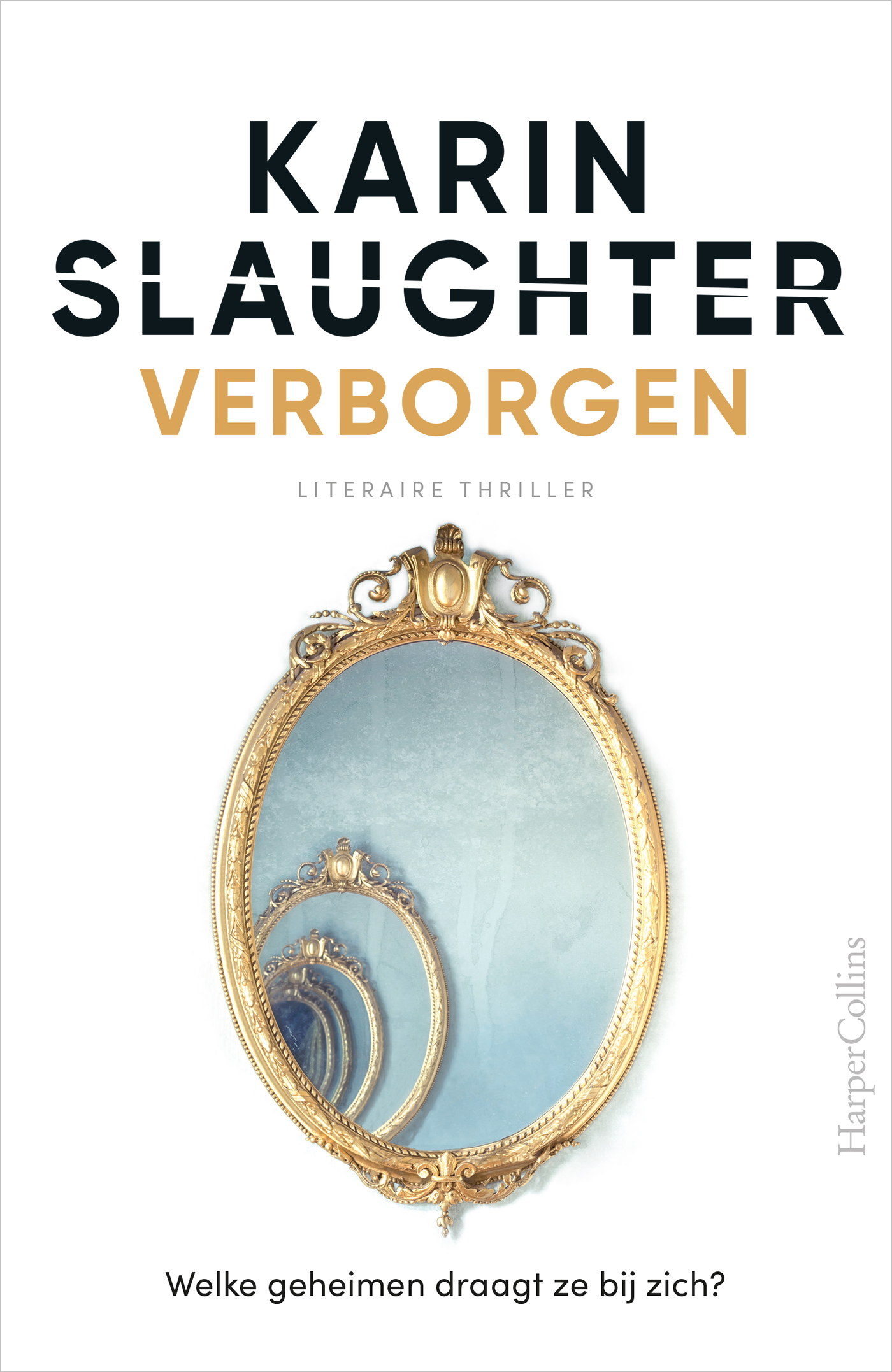 Omslag van Verborgen