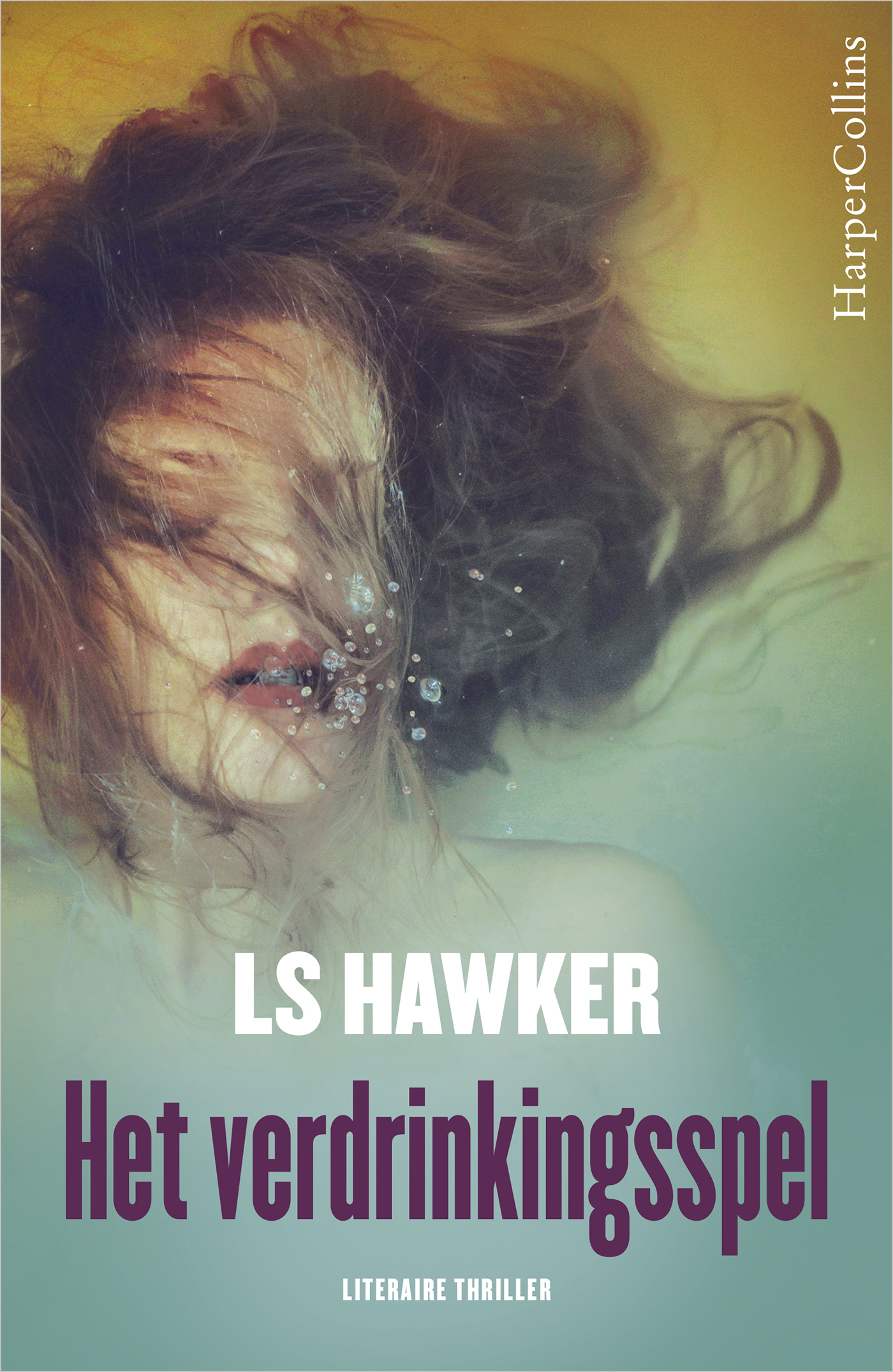 Omslag van Het verdrinkingsspel