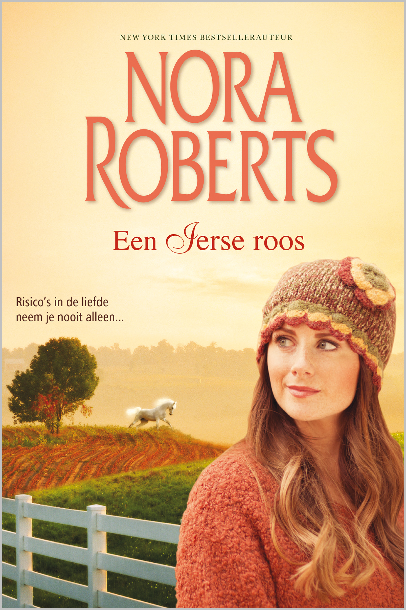 Omslag van Een Ierse roos