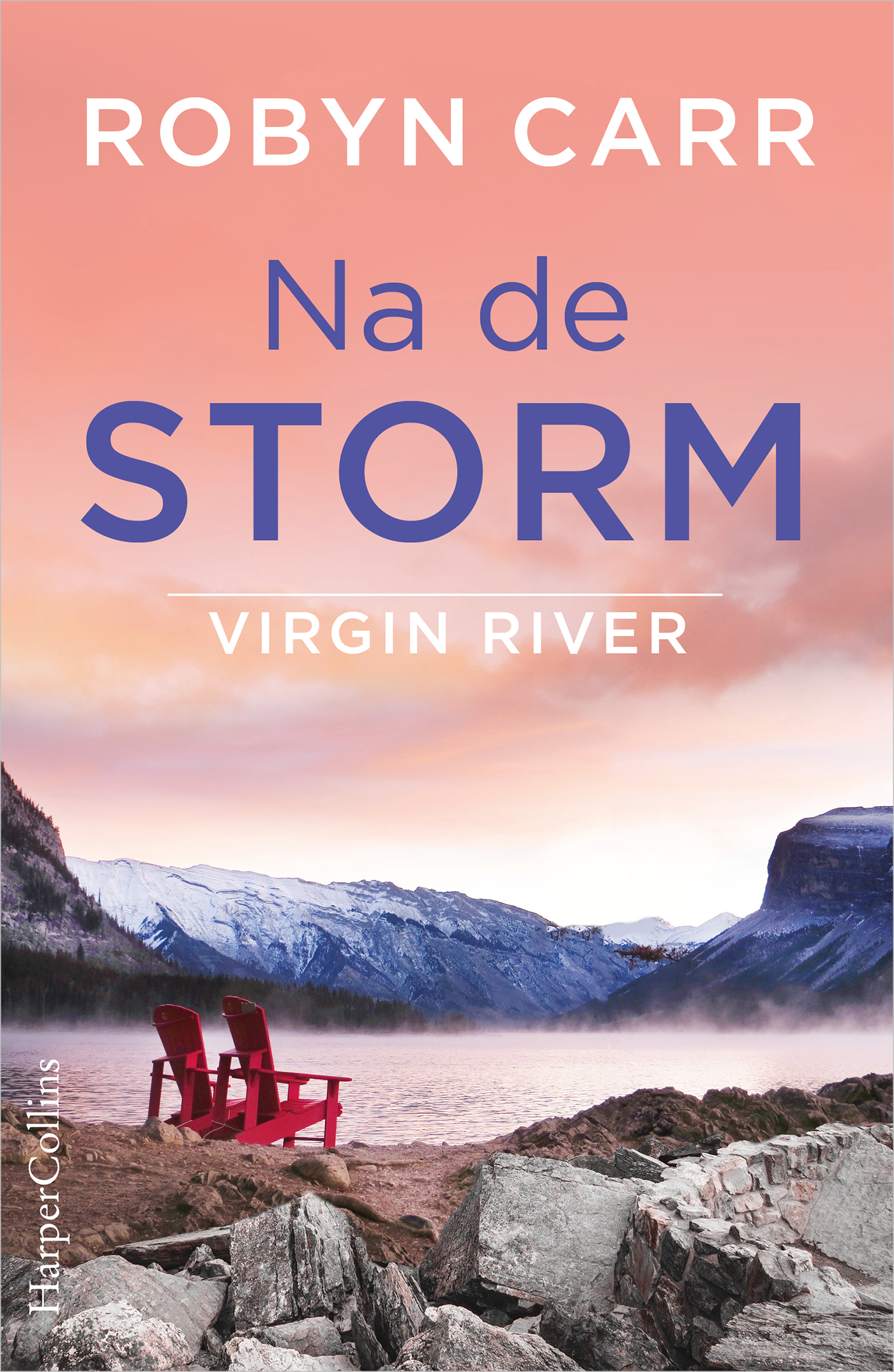 Omslag van Na de storm