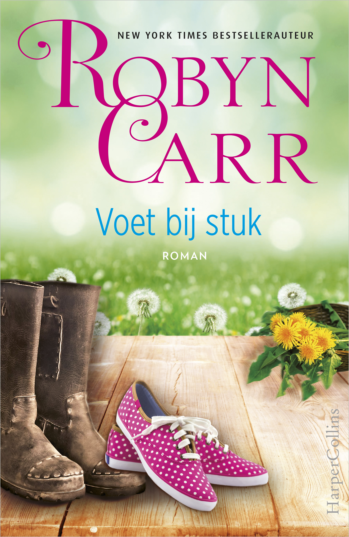 Omslag van Voet bij stuk