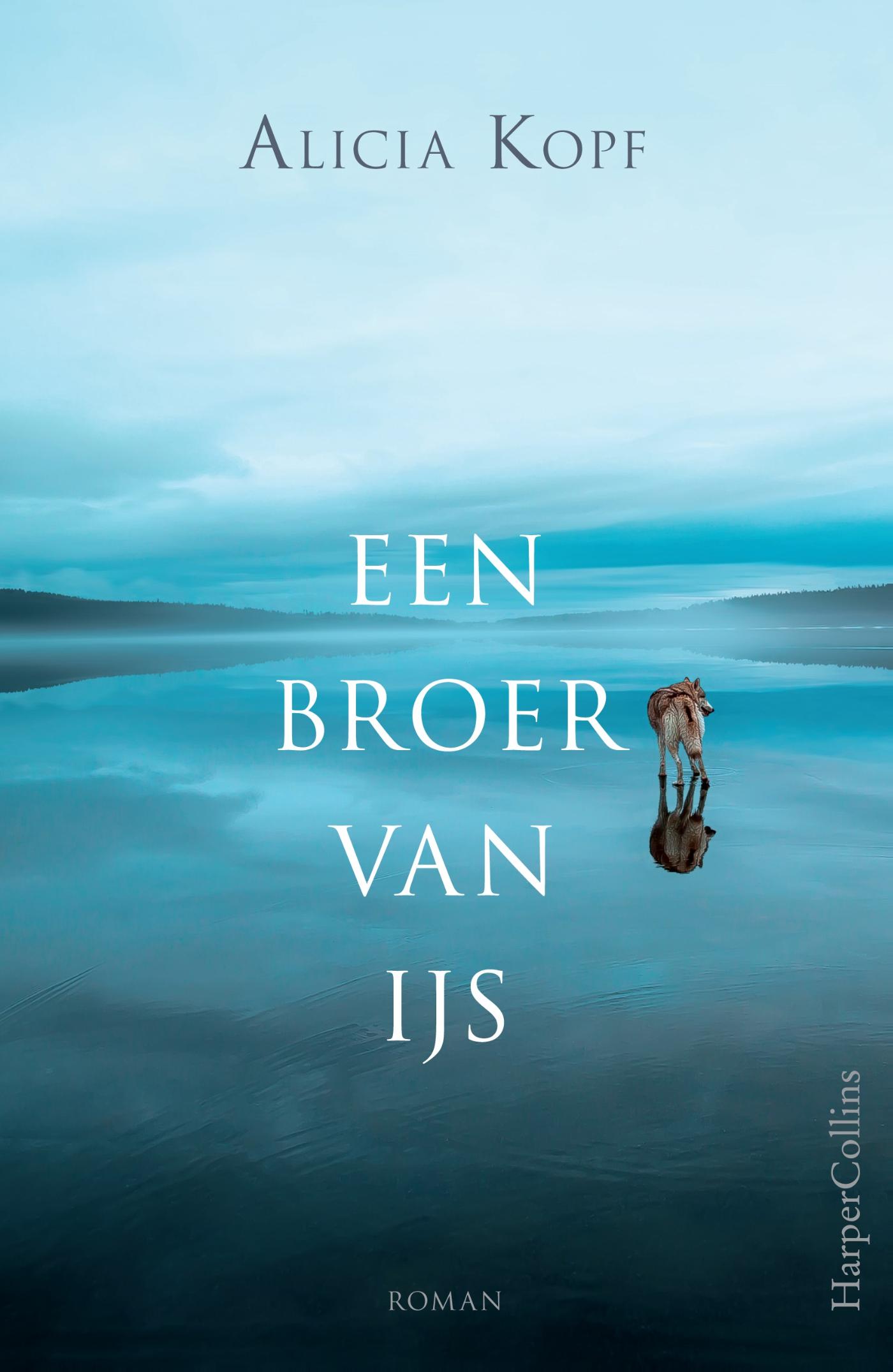 Omslag van Een broer van ijs