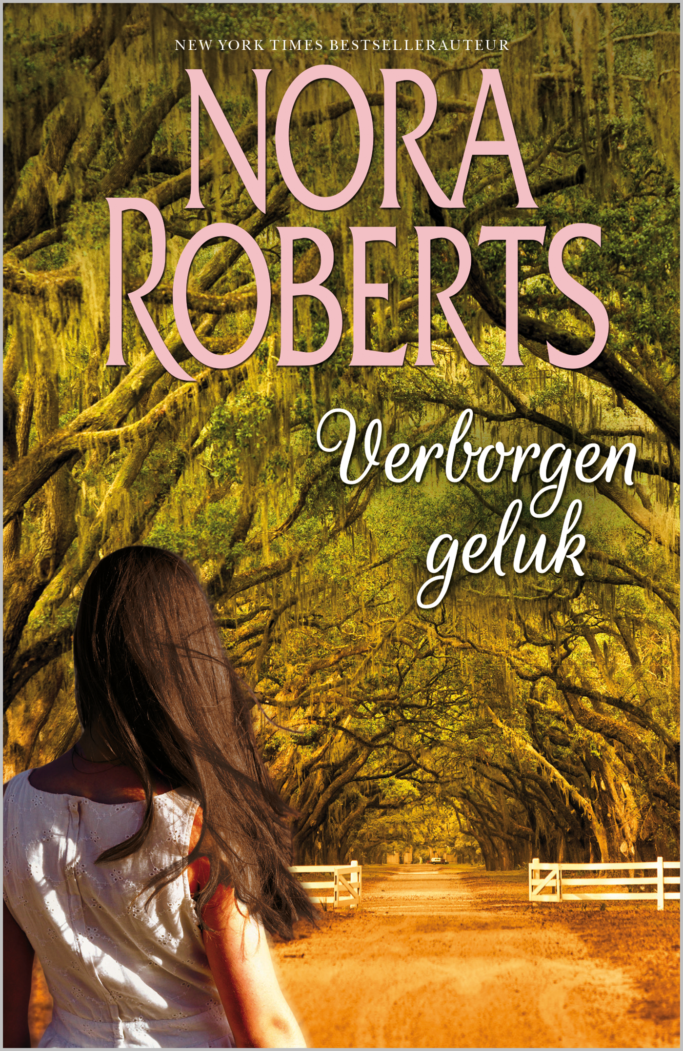 Omslag van Verborgen geluk (2-in-1)