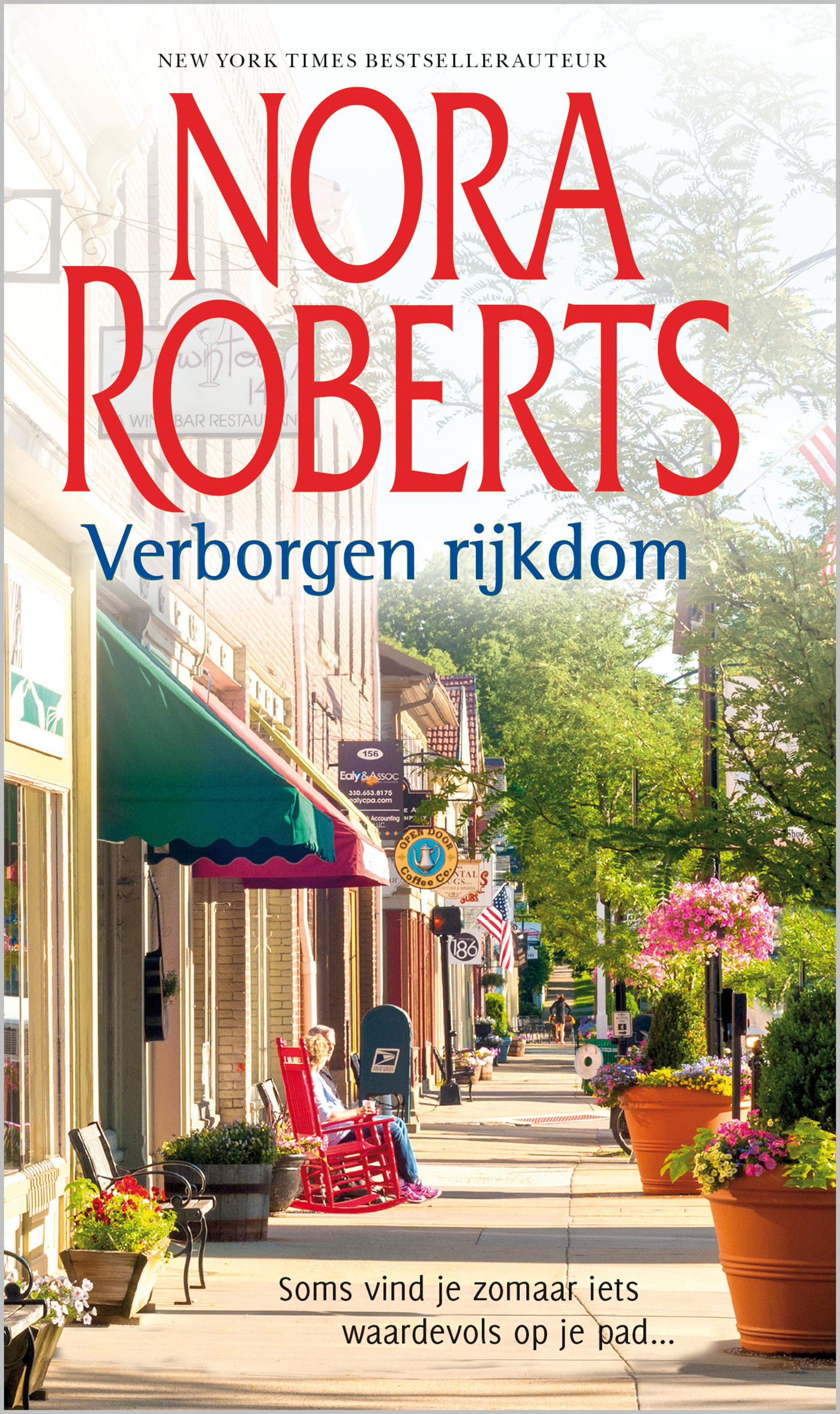 Omslag van Verborgen rijkdom