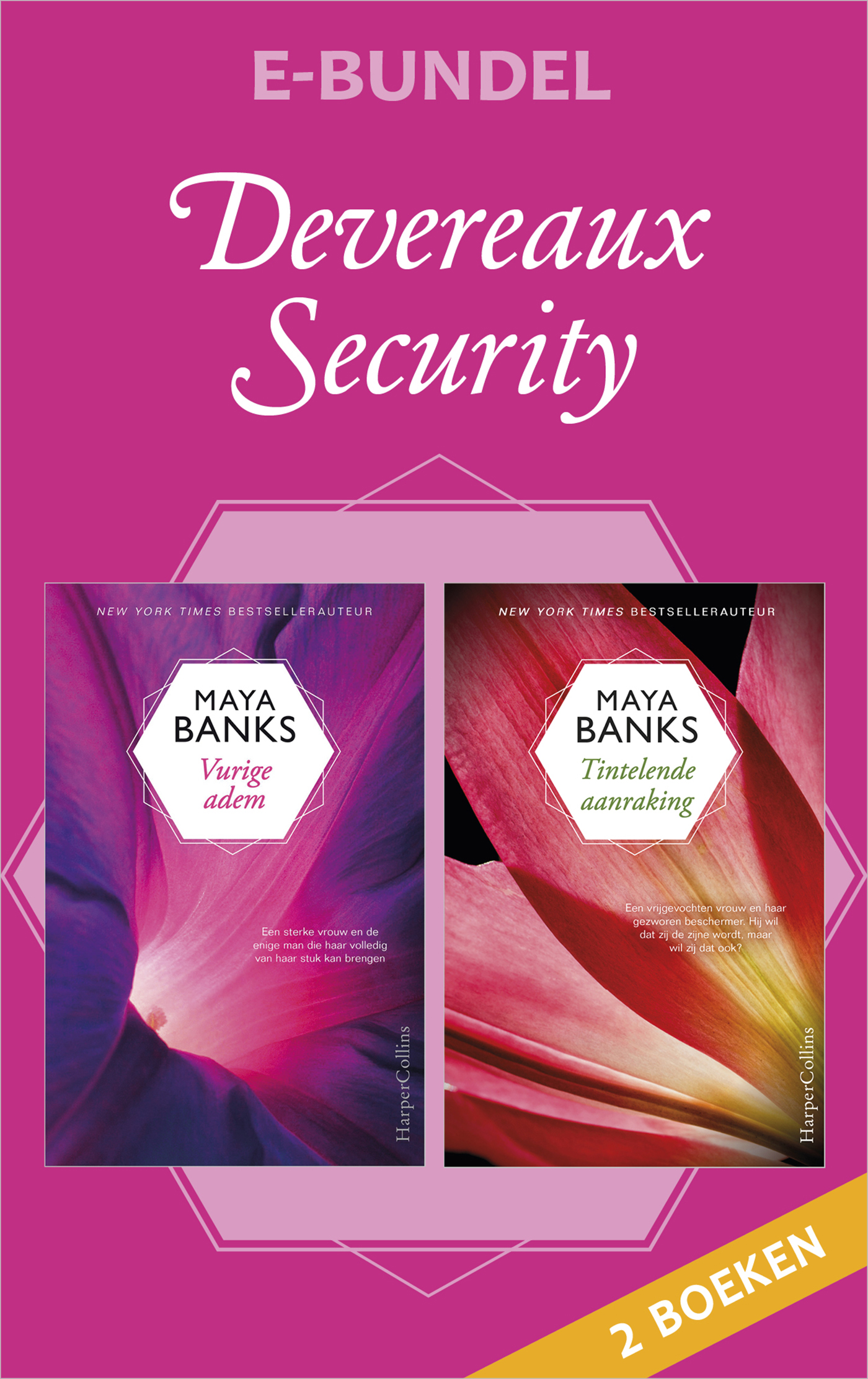 Omslag van Devereaux Security