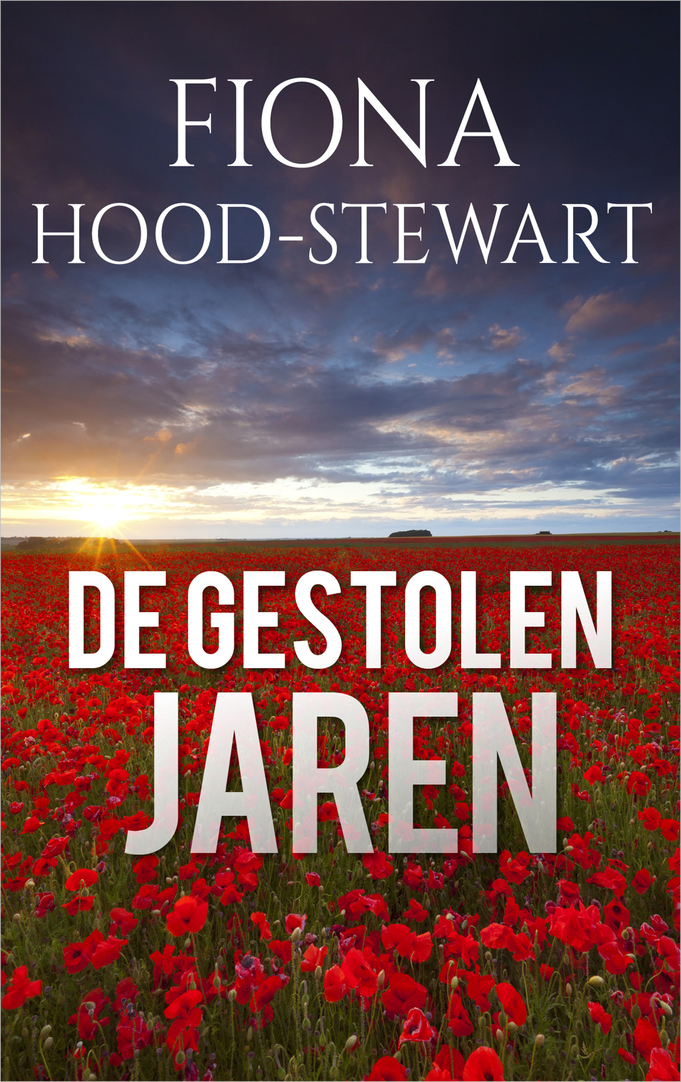 Omslag van De gestolen jaren