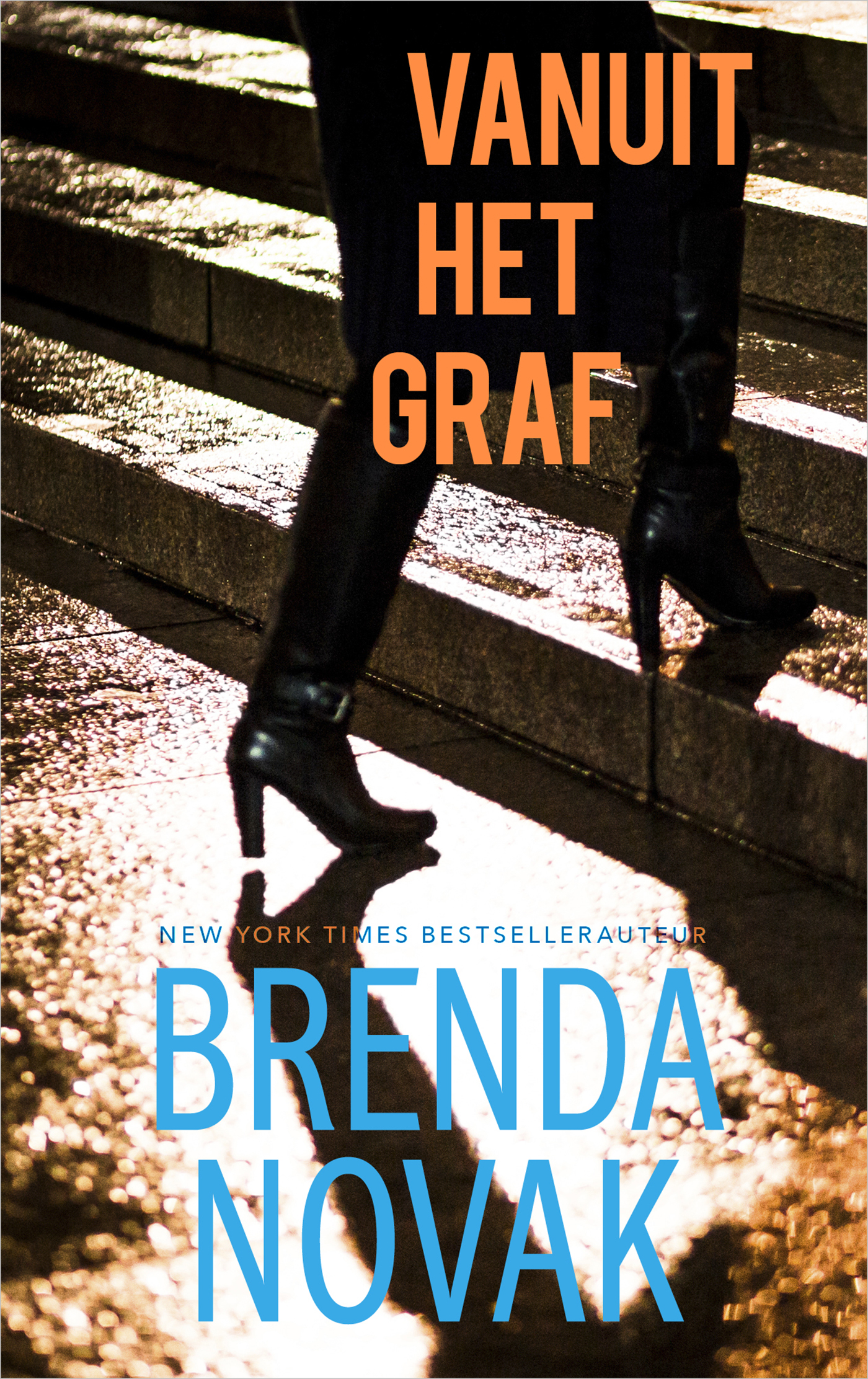 Omslag van Vanuit het graf