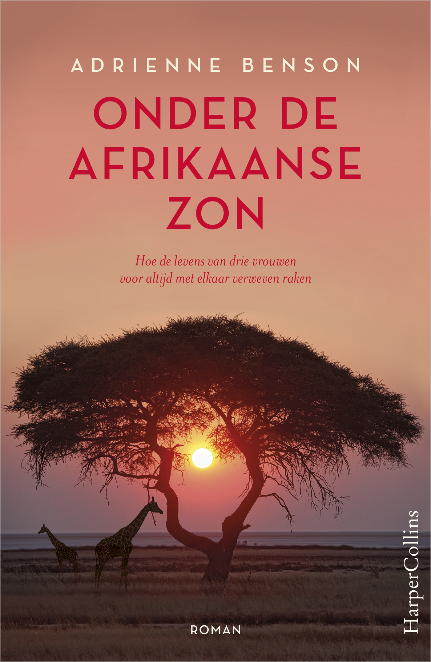 Omslag van Onder de Afrikaanse zon