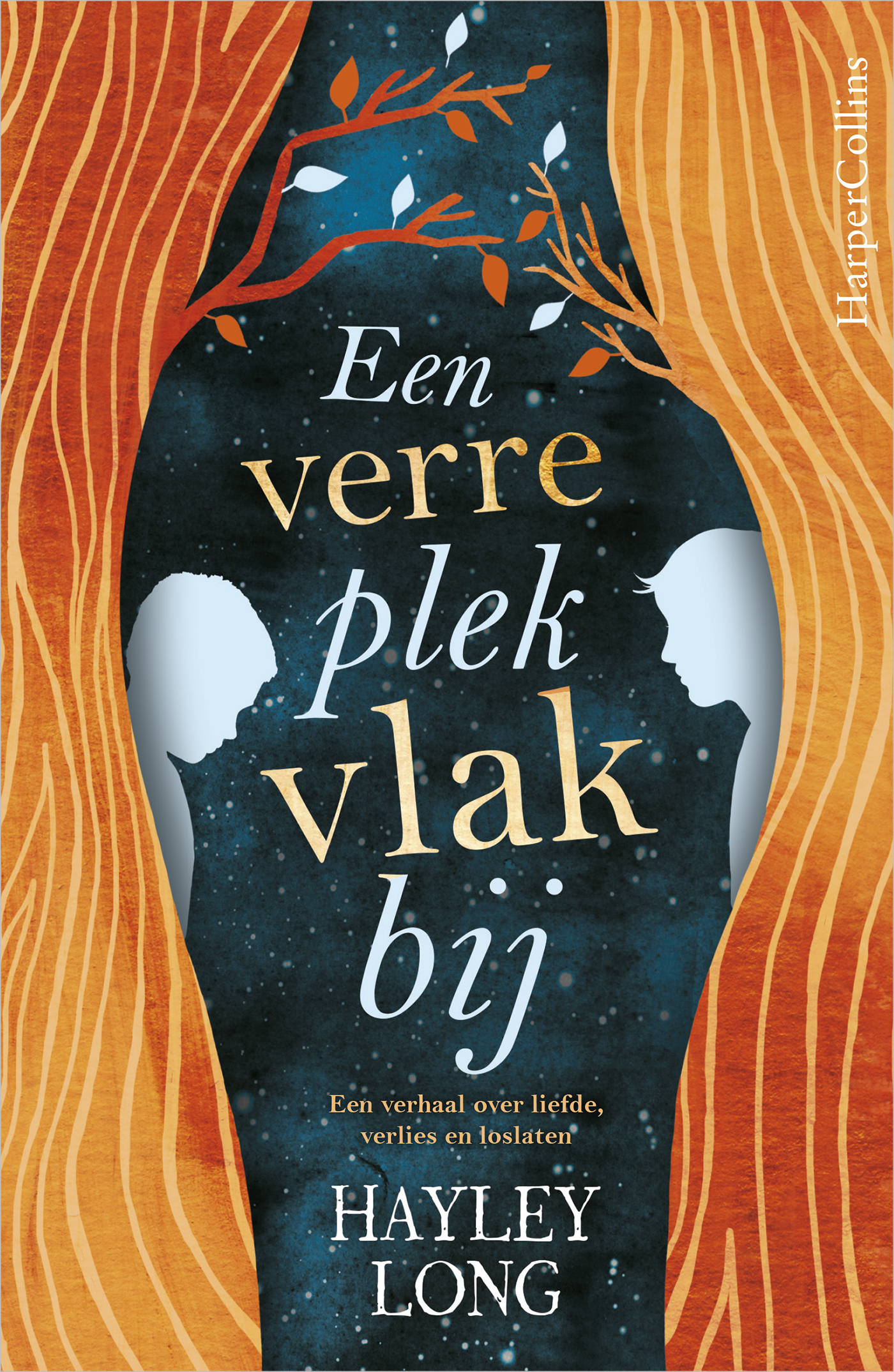 Omslag van Een verre plek vlakbij