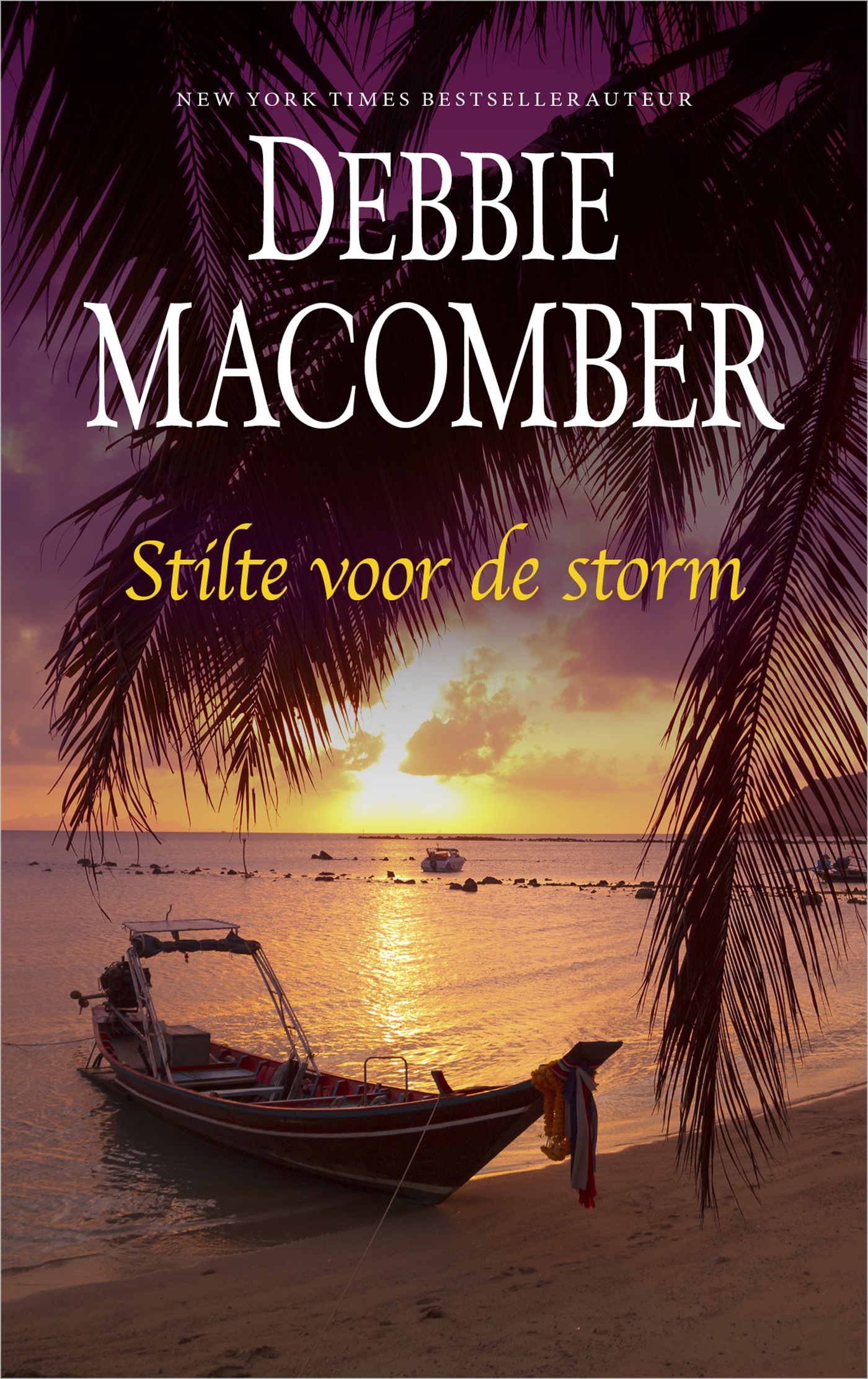 Omslag van Stilte voor de storm