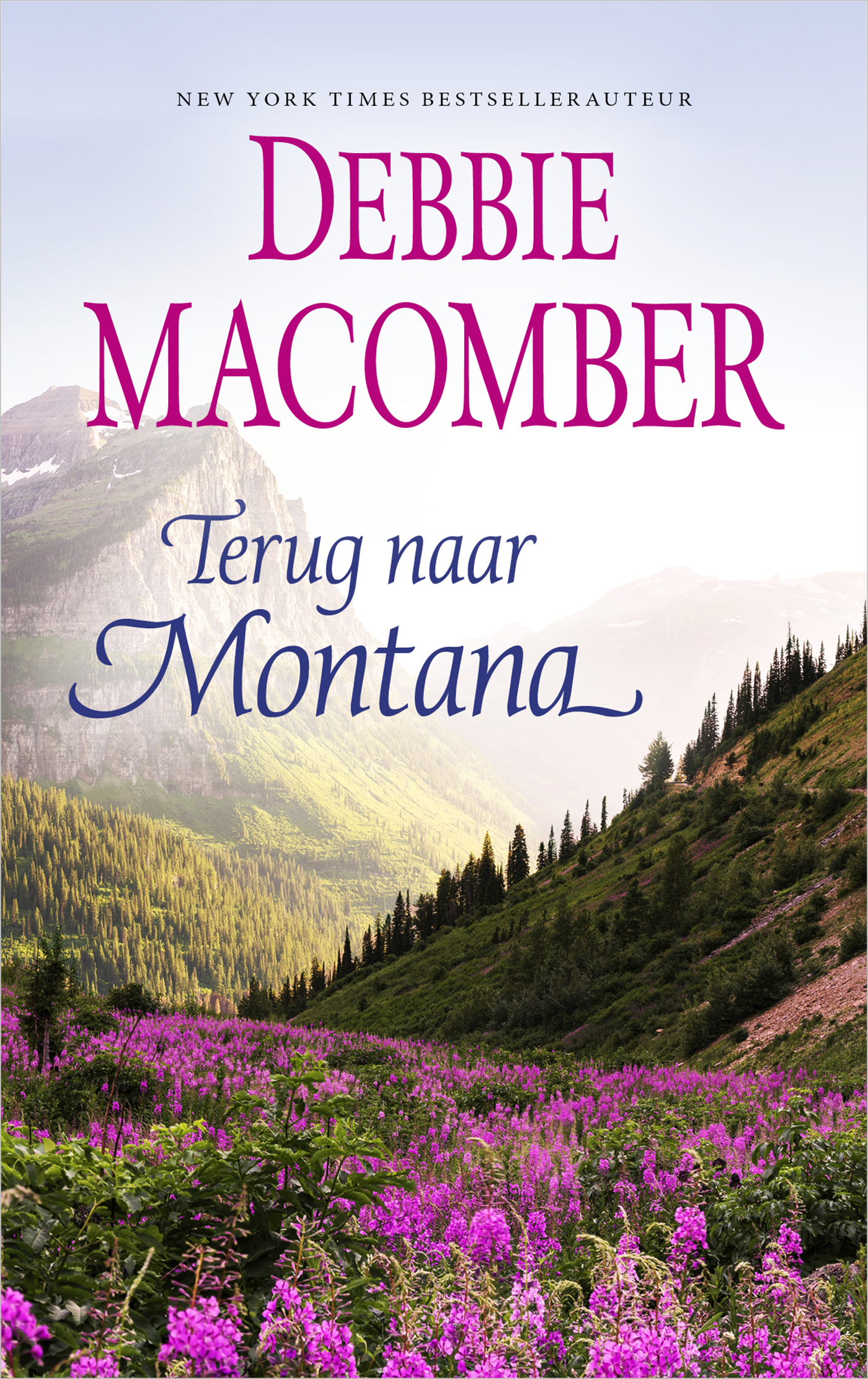 Omslag van Terug naar Montana