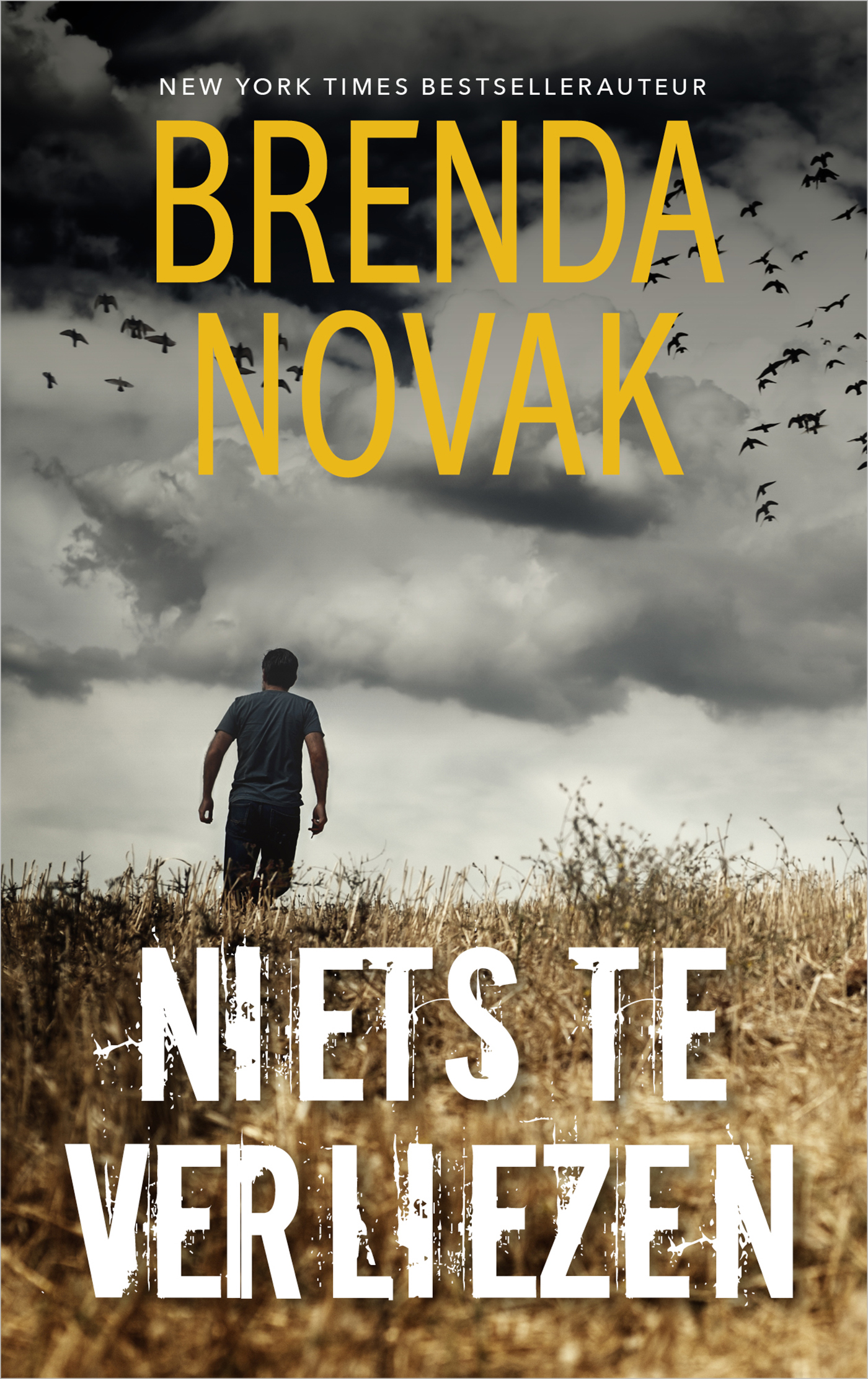 Omslag van Niets te verliezen