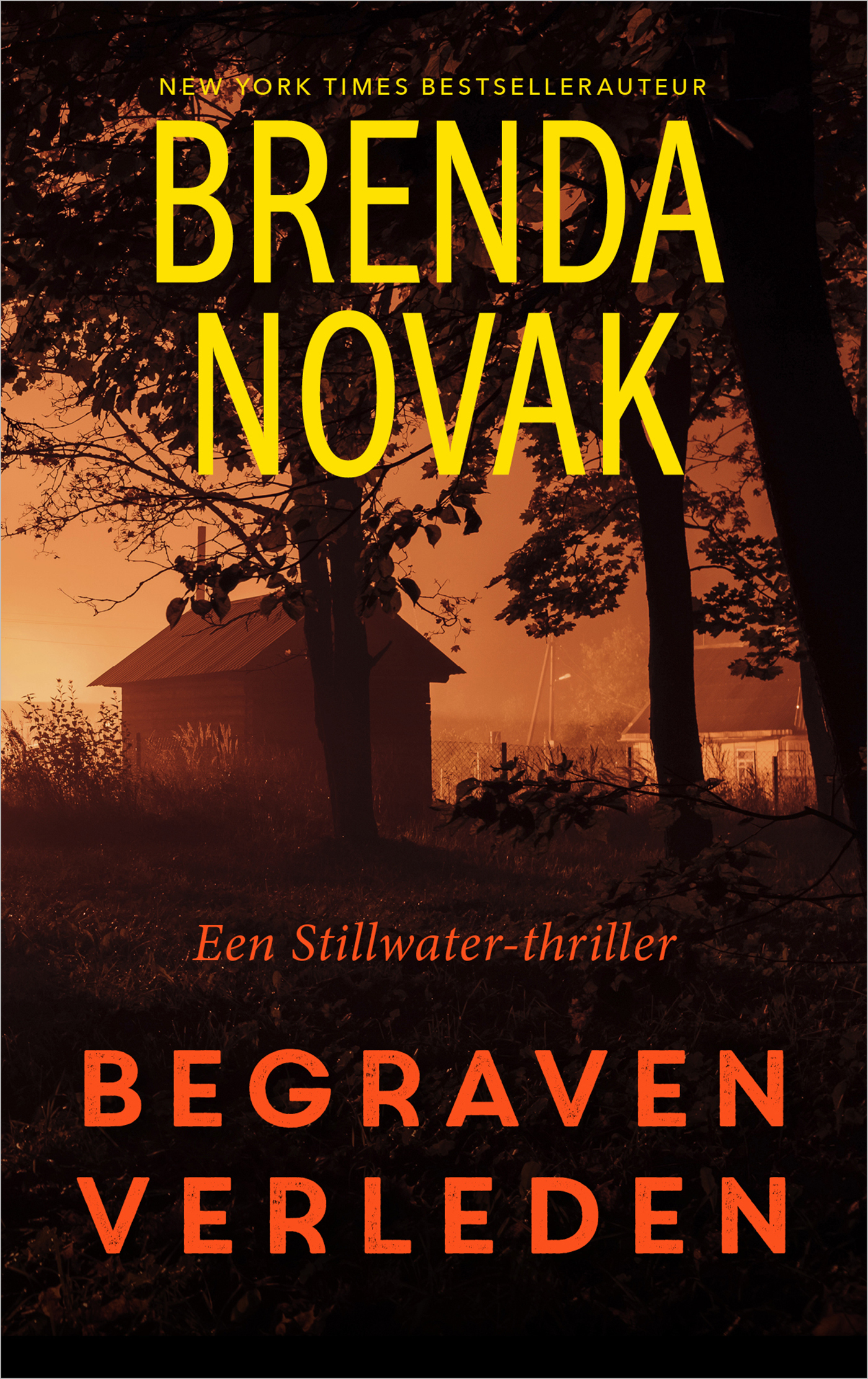 Omslag van Begraven verleden