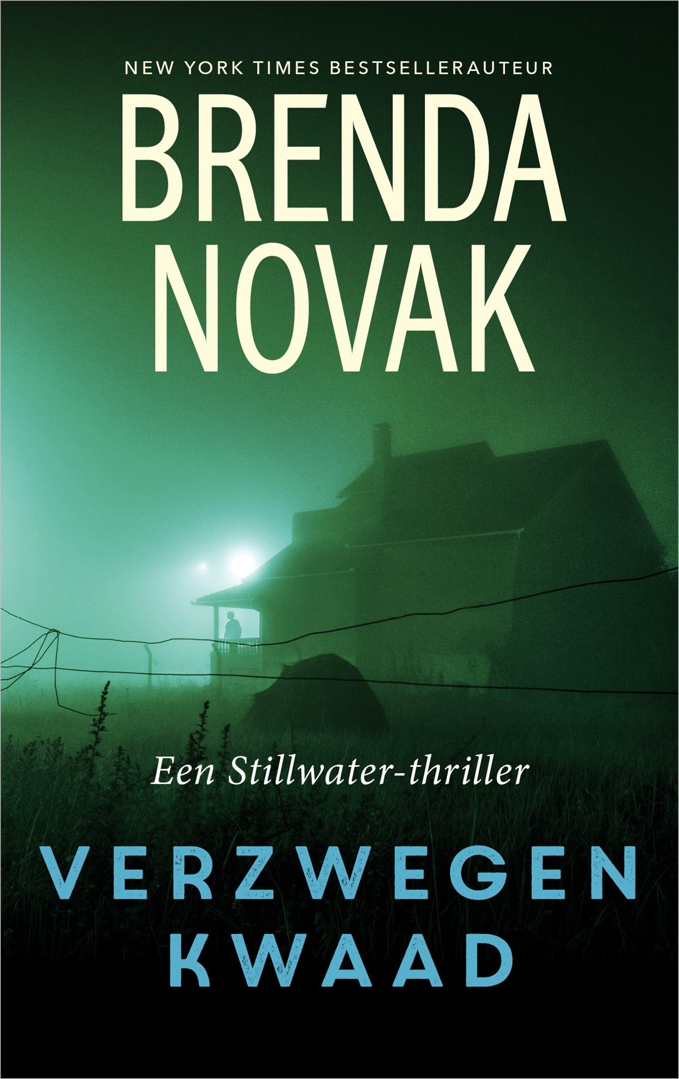 Omslag van Verzwegen kwaad