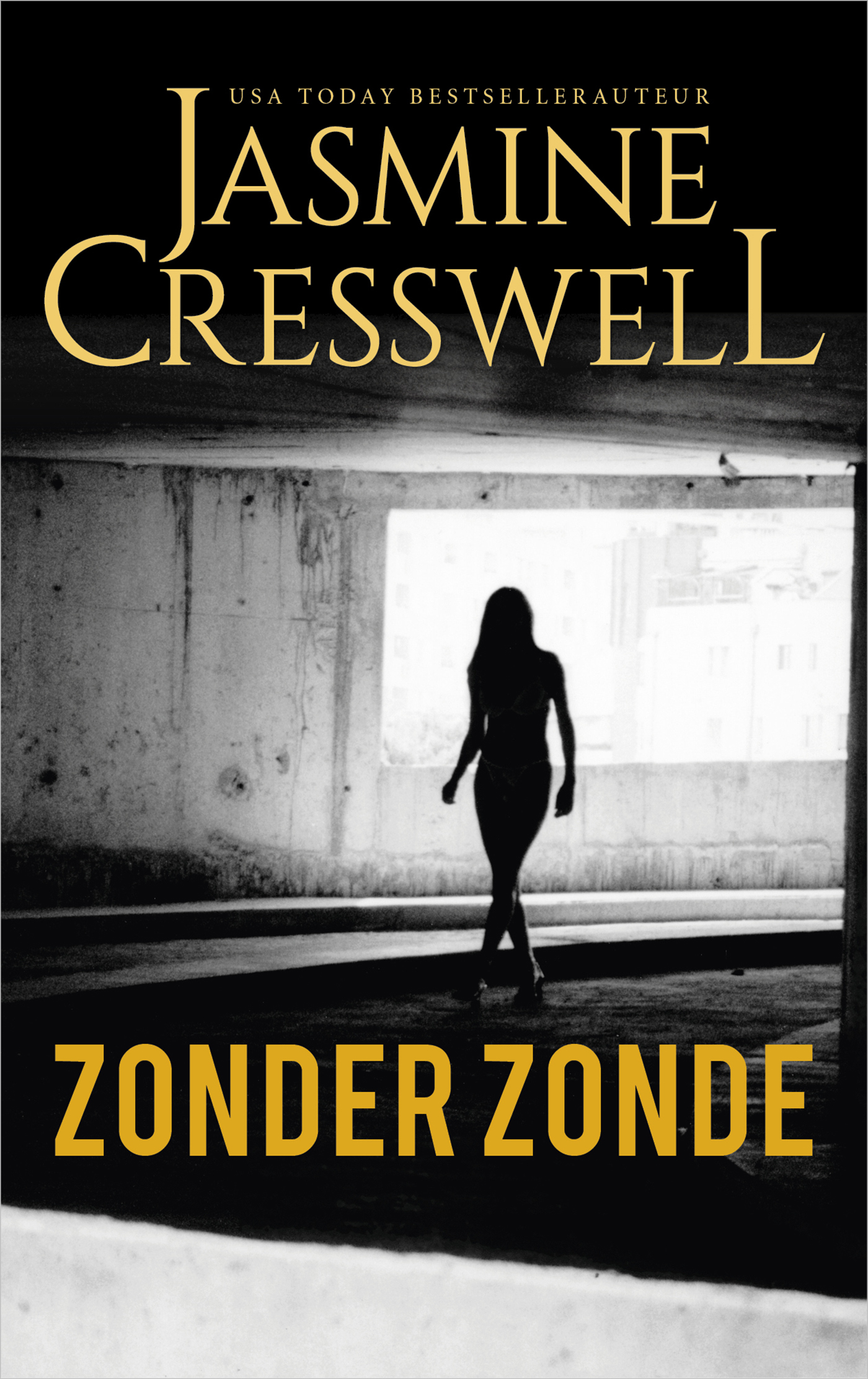Omslag van Zonder zonde