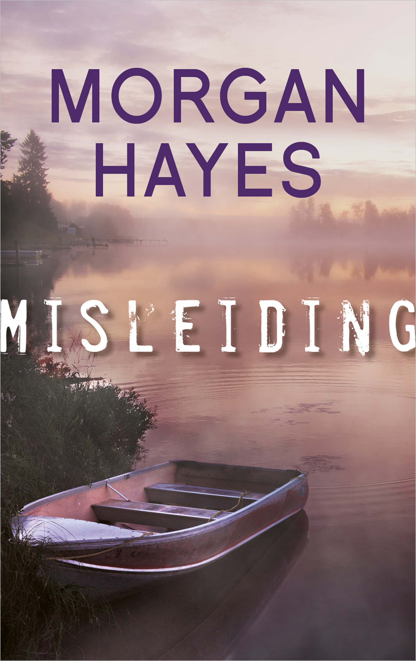 Omslag van Misleiding