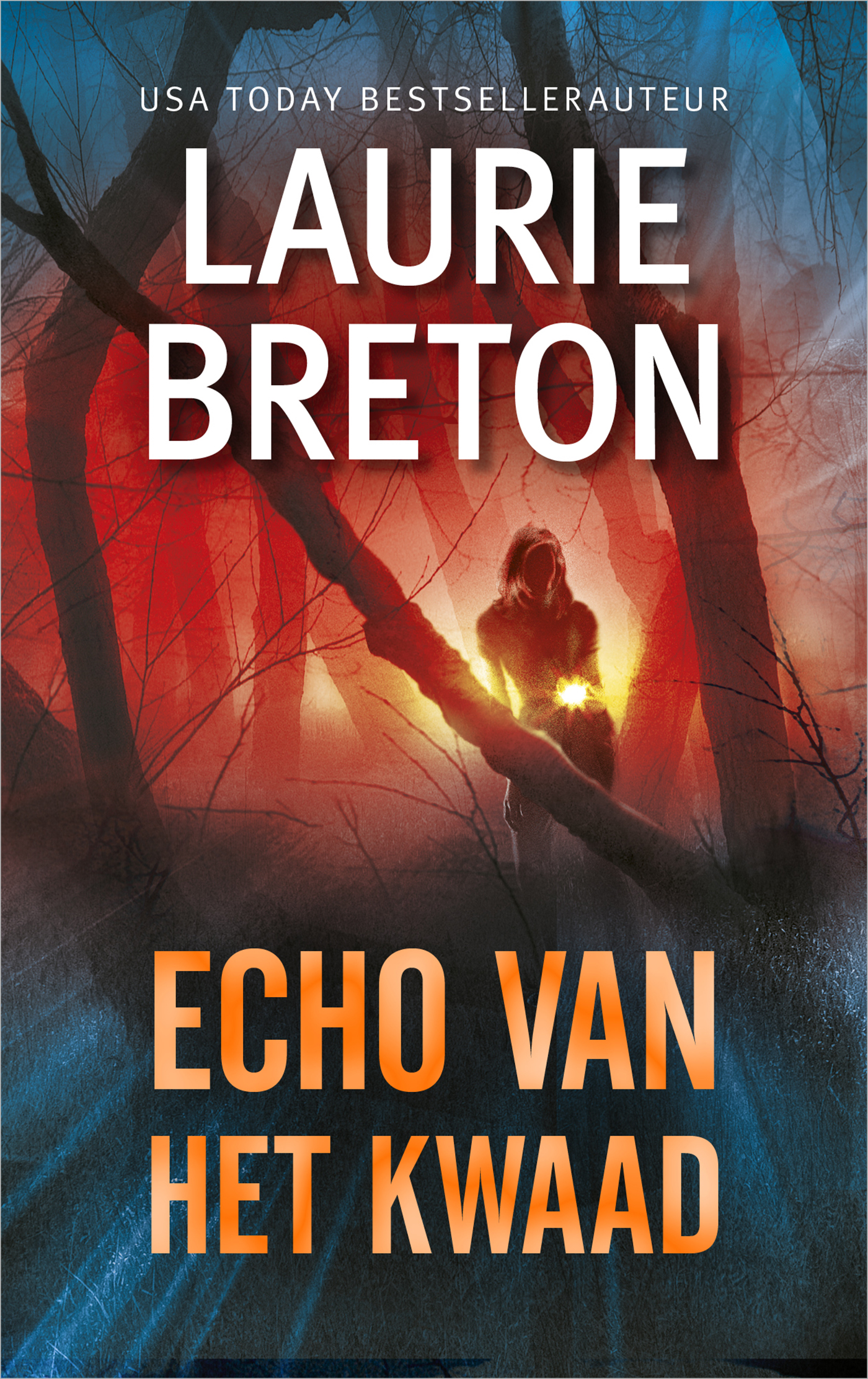 Omslag van Echo van het kwaad