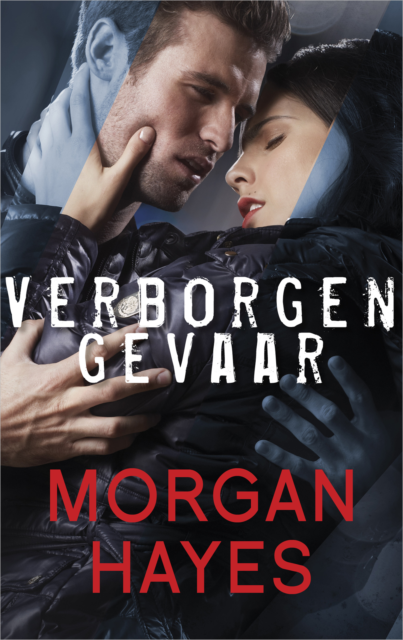 Omslag van Verborgen gevaar