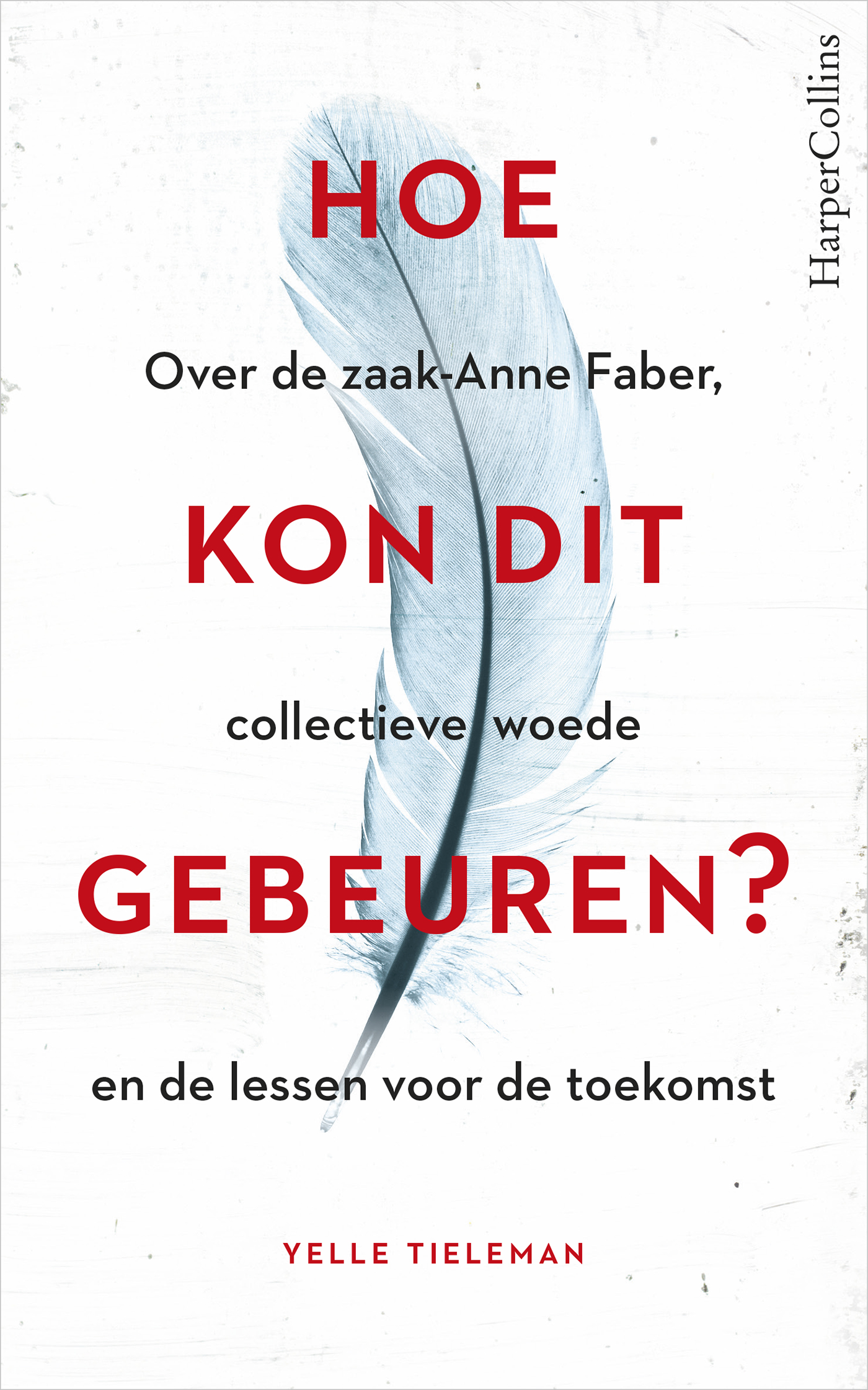 Omslag van Hoe kon dit gebeuren?