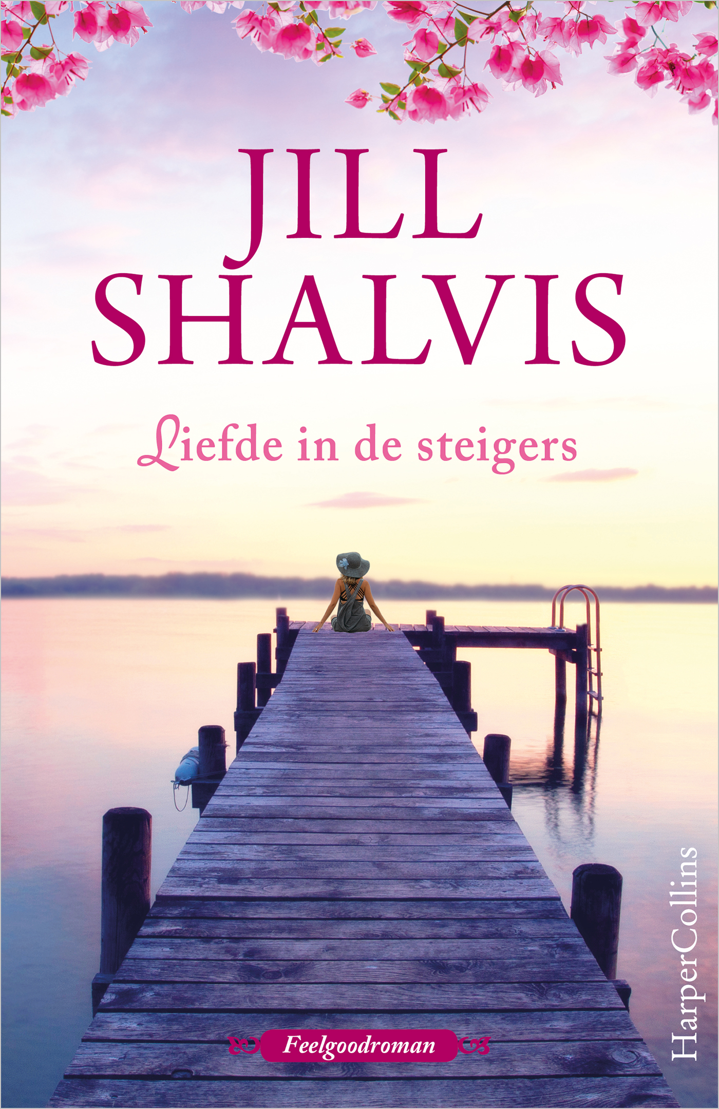 Omslag van Liefde in de steigers