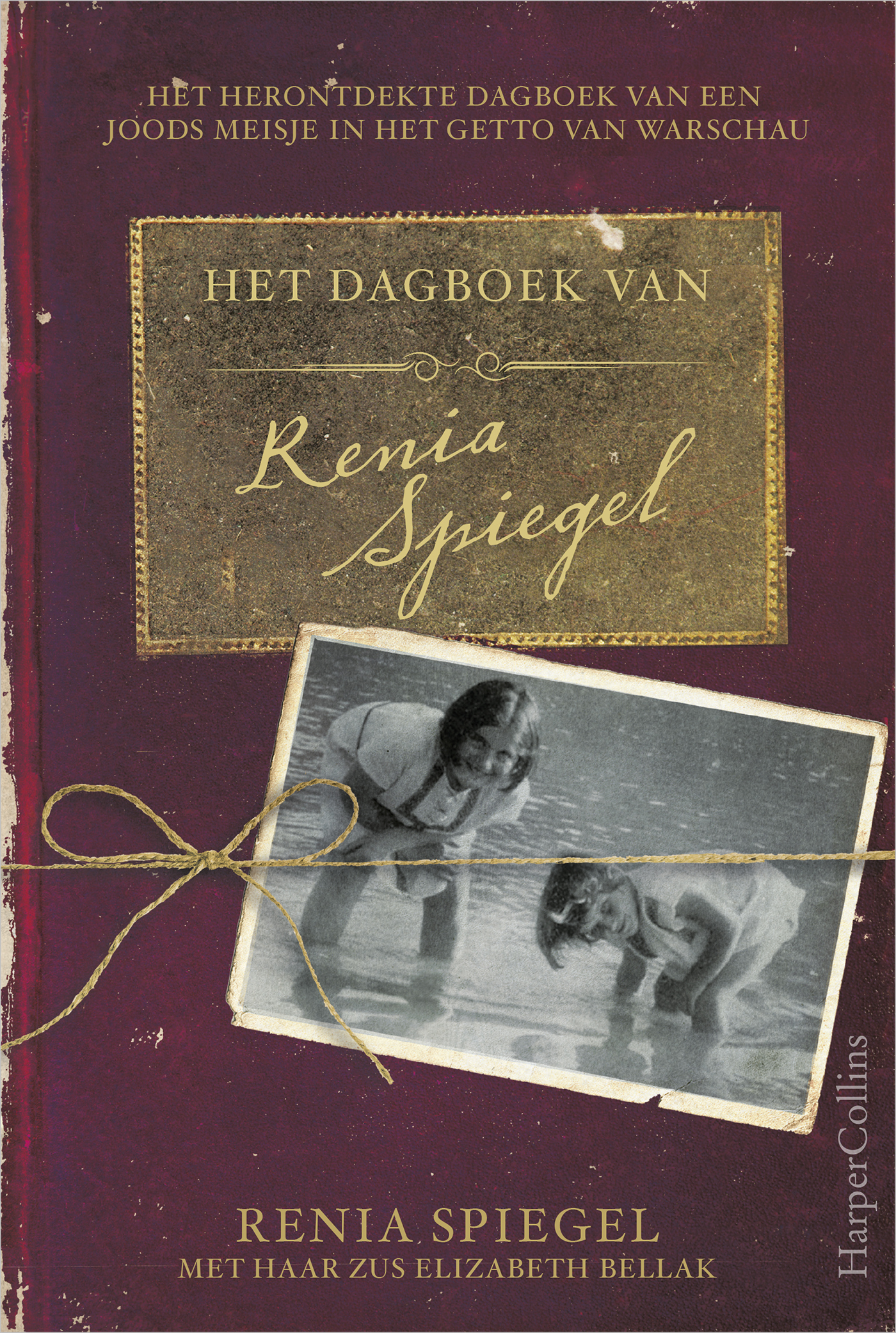 Omslag van Het dagboek van Renia Spiegel