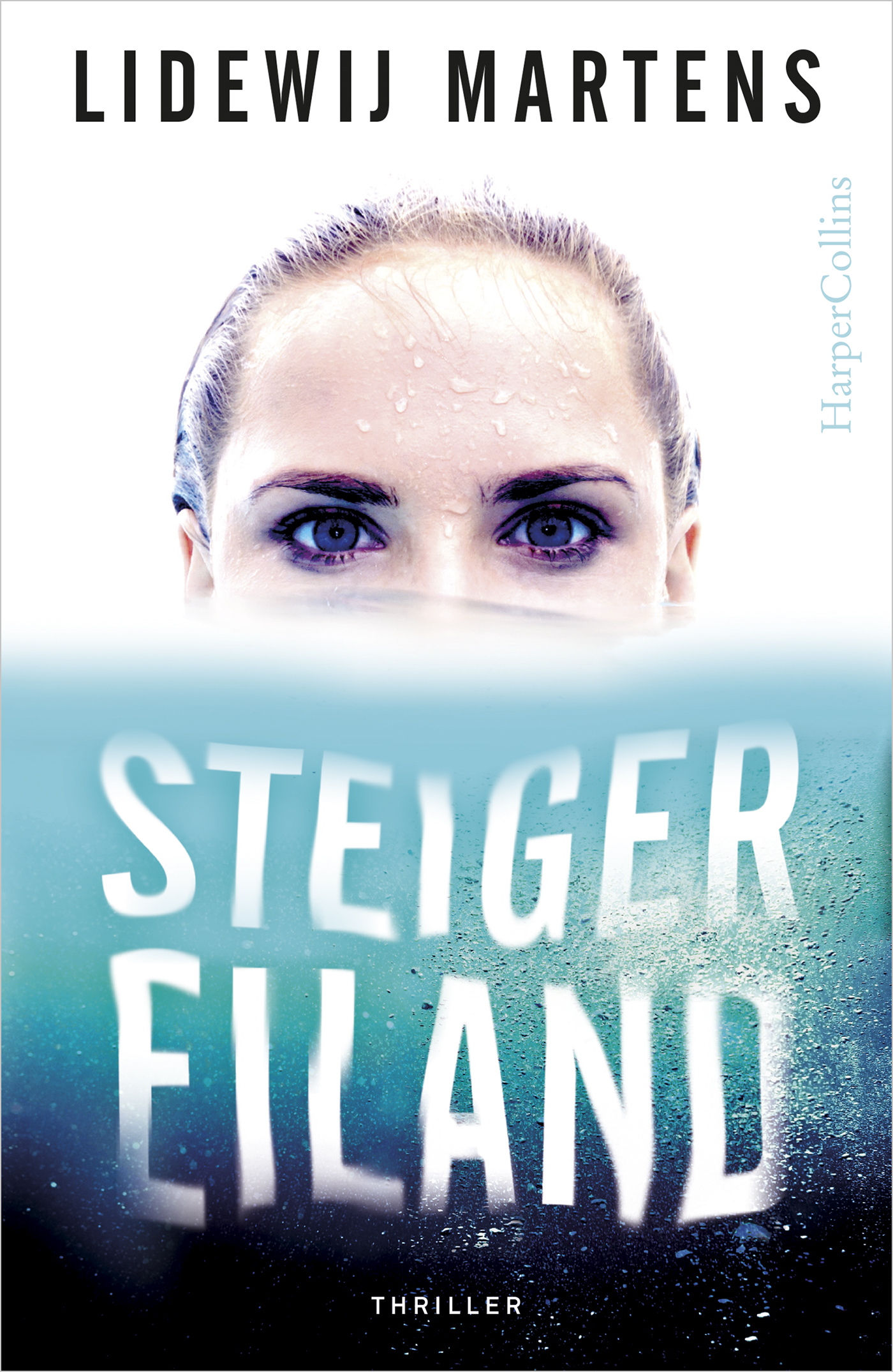 Omslag van Steigereiland