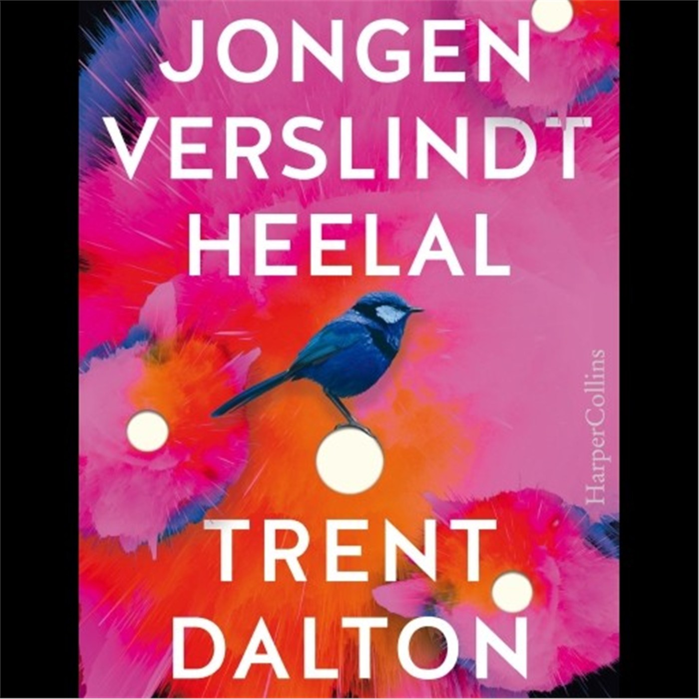Omslag van Jongen verslindt heelal