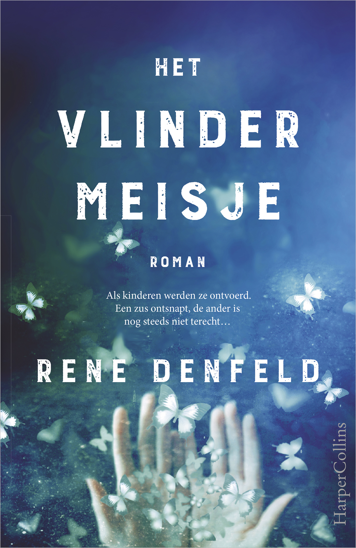 Omslag van Het vlindermeisje