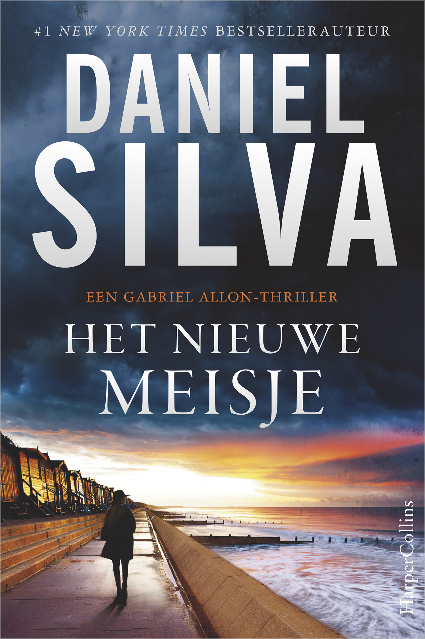 Omslag van Het nieuwe meisje