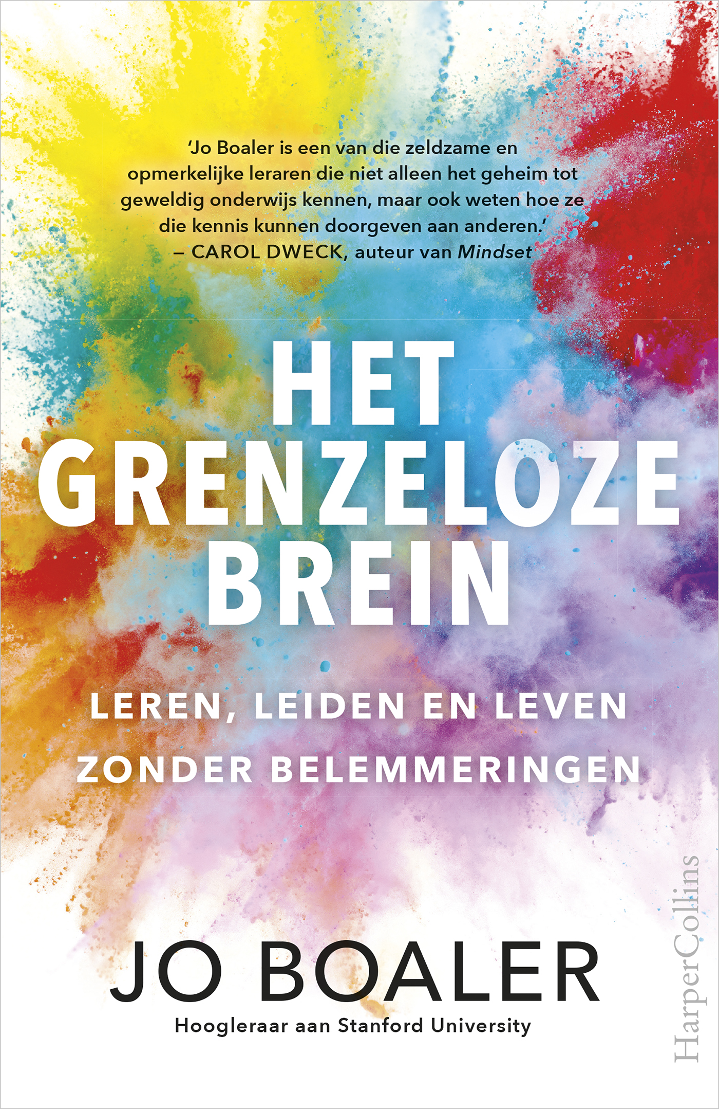 Omslag van Het grenzeloze brein