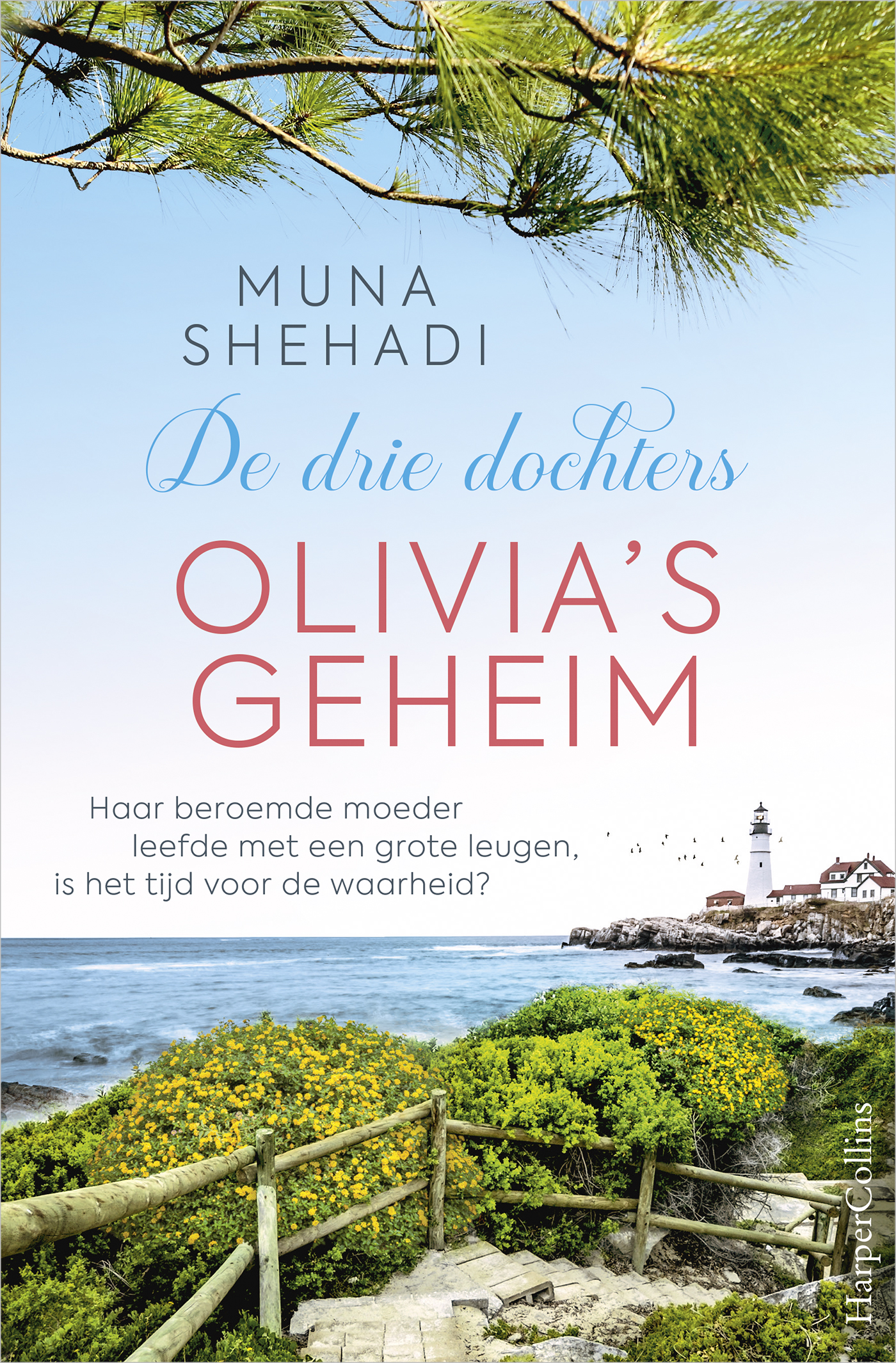 Omslag van Olivia's geheim