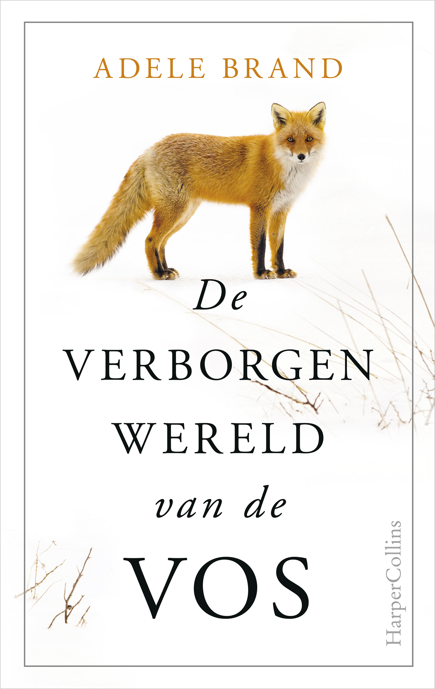 Omslag van De verborgen wereld van de vos