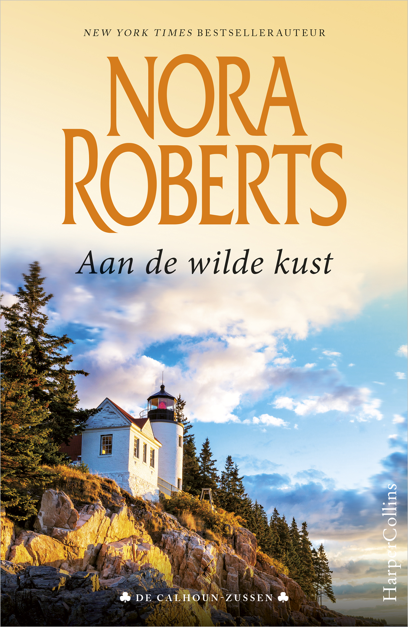 Omslag van Aan de wilde kust