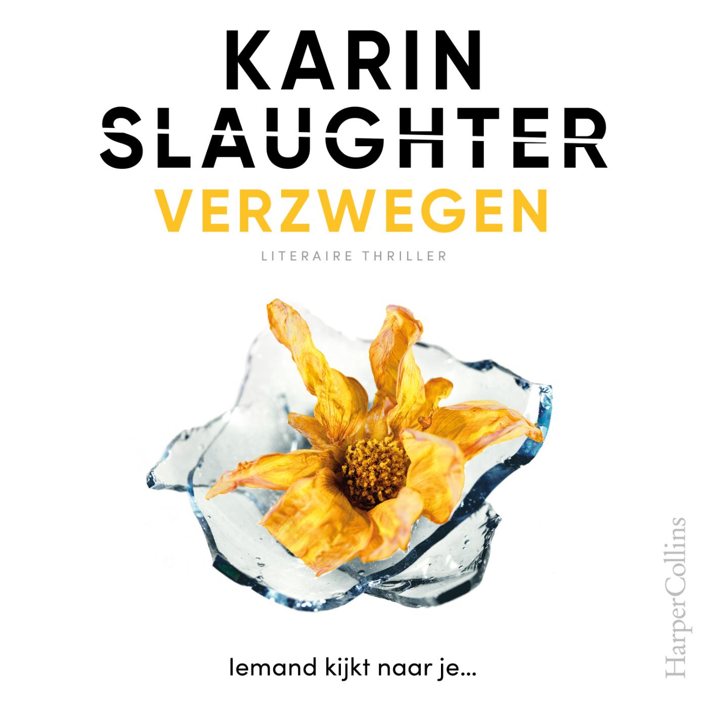 Omslag van Verzwegen