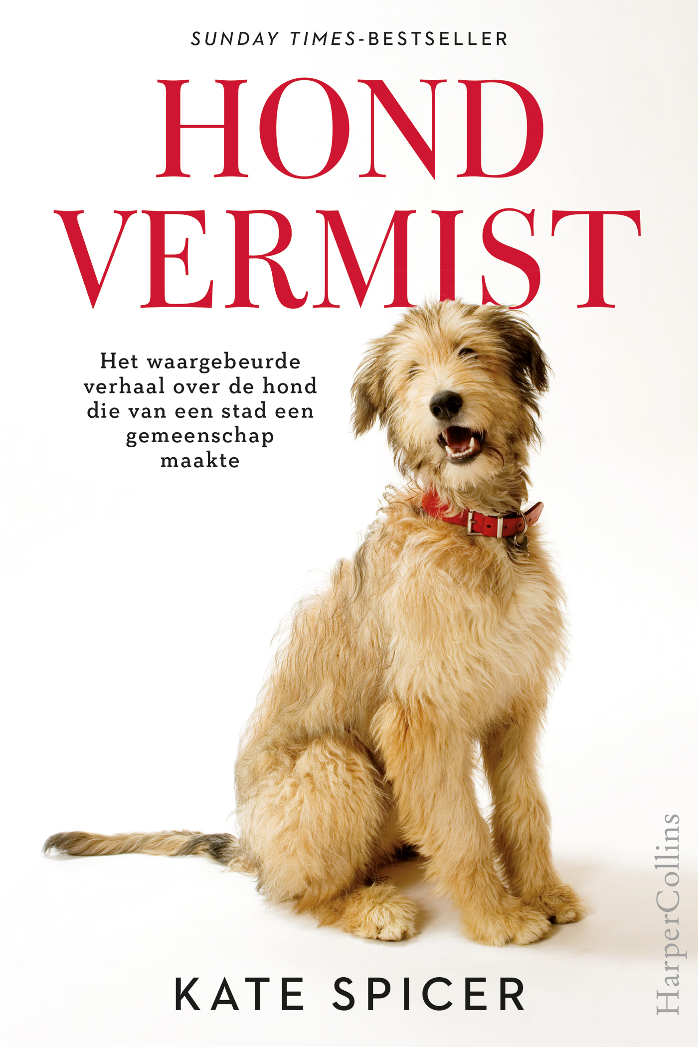 Omslag van Hond vermist