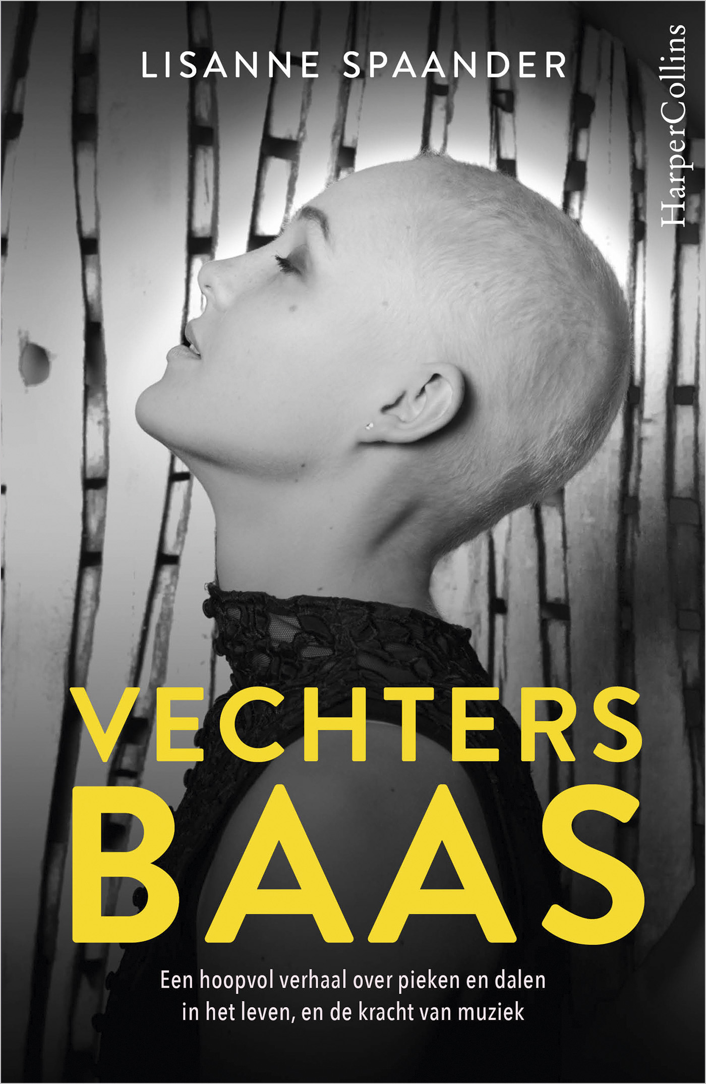 Omslag van Vechtersbaas
