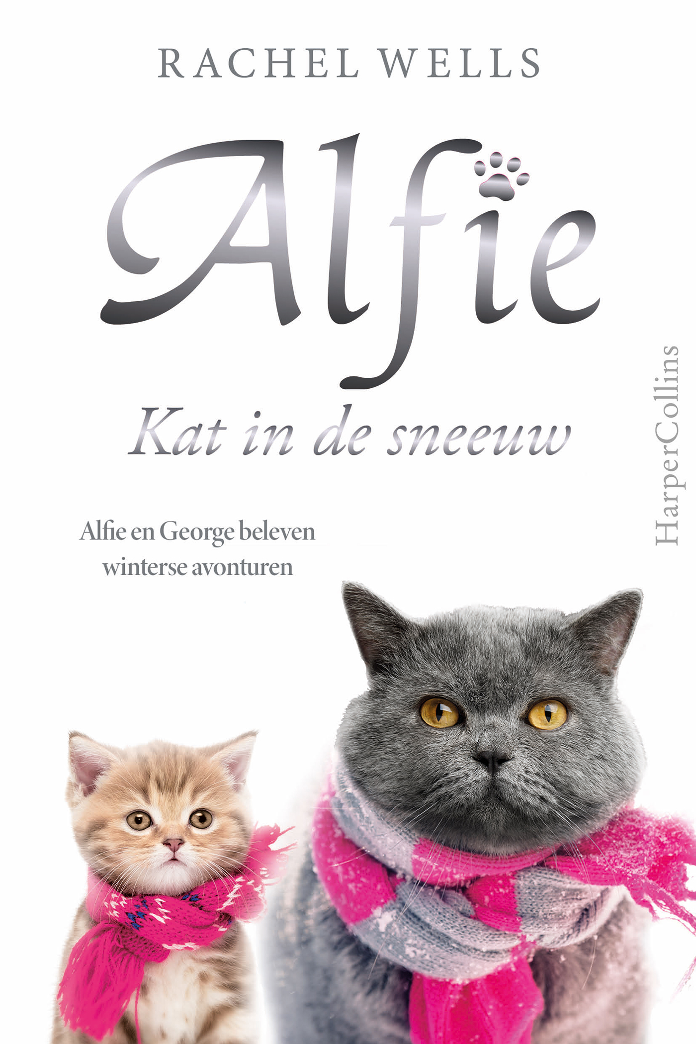 Omslag van Kat in de sneeuw