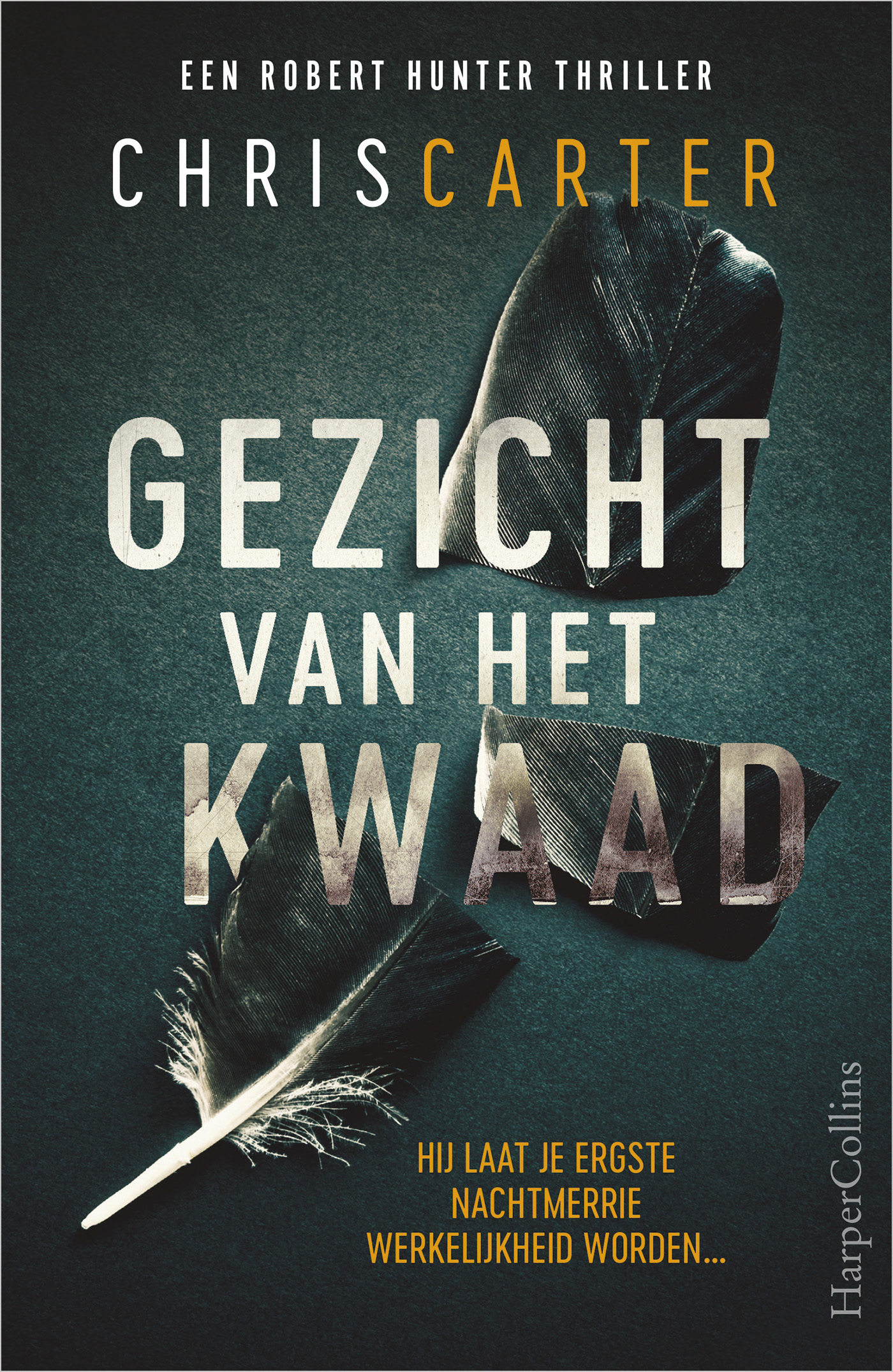 Omslag van Gezicht van het kwaad